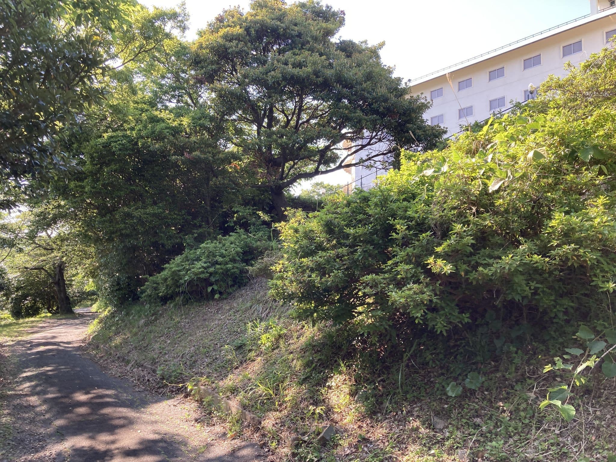 Street view near 鳥羽シーサイドホテル, Toba — © 24kawa (CC BY-SA · Mapillary)
