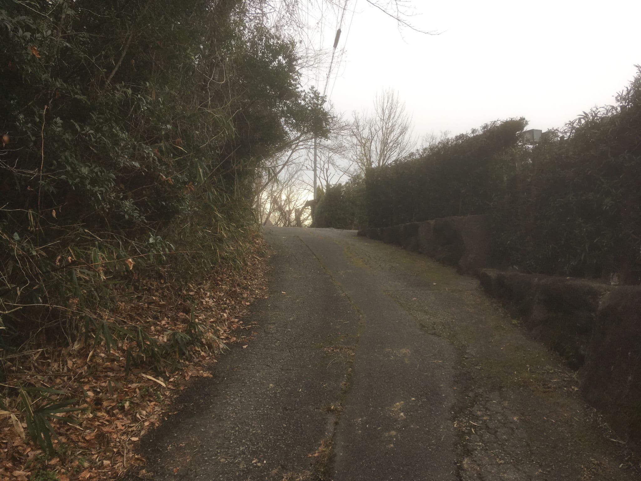 Street view near TORI NO UTA(鳥の詩), Ikoma — © y24 (CC BY-SA · Mapillary)