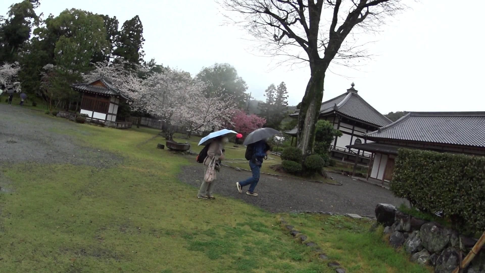 Street view near わらびの里, Arashiyama — © yasunari (CC BY-SA · Mapillary)