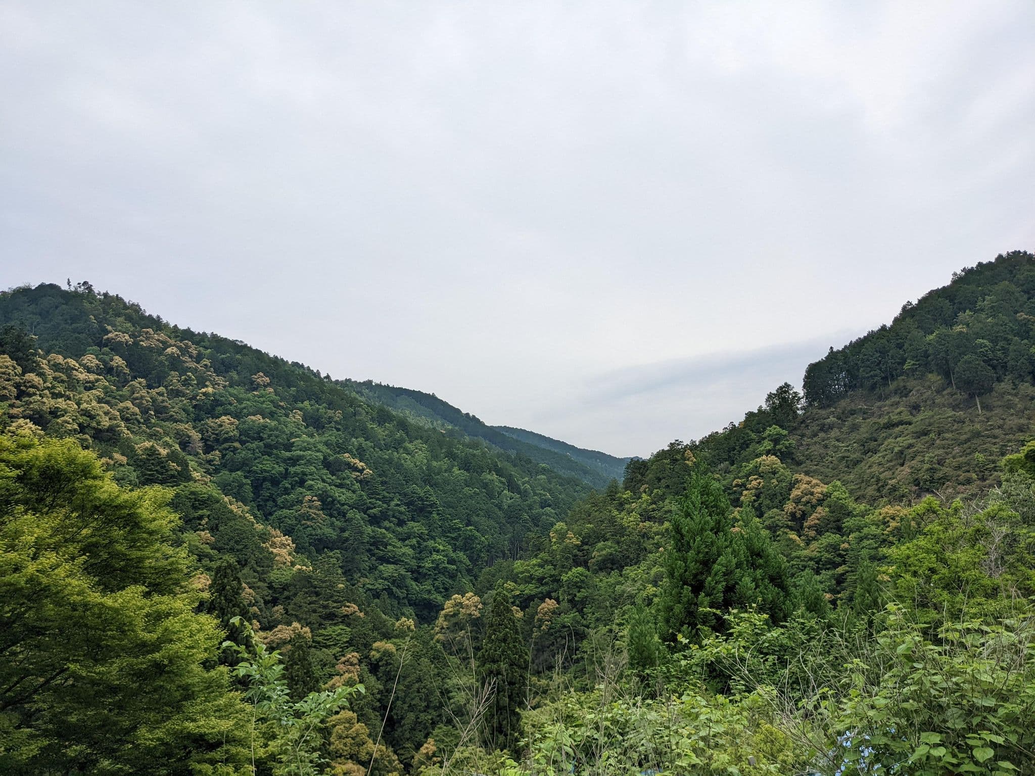 Street view near もみぢ家 別館 川の庵, Arashiyama — © yasunari (CC BY-SA · Mapillary)
