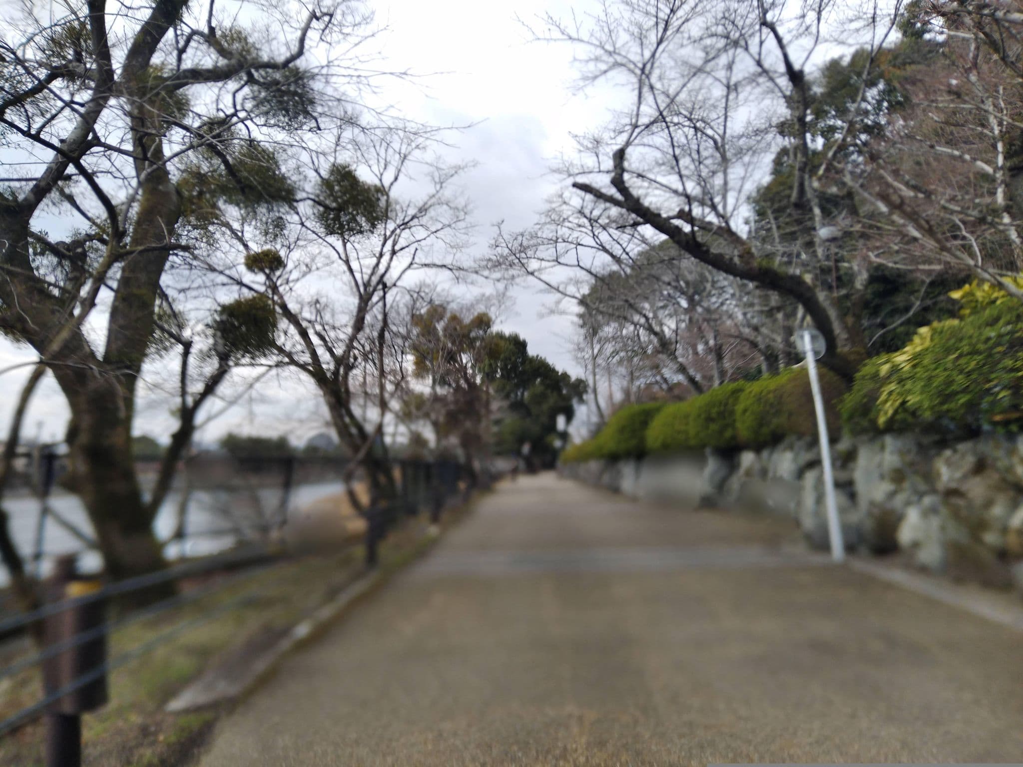 Street view near 民宿 亀石楼, Uji — © yasunari (CC BY-SA · Mapillary)