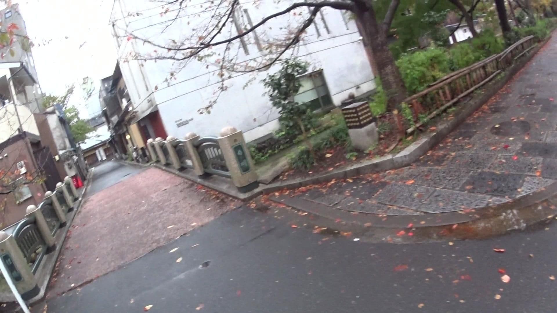 Street view near 式音庵 祇園白川, Kyoto — © yasunari (CC BY-SA · Mapillary)