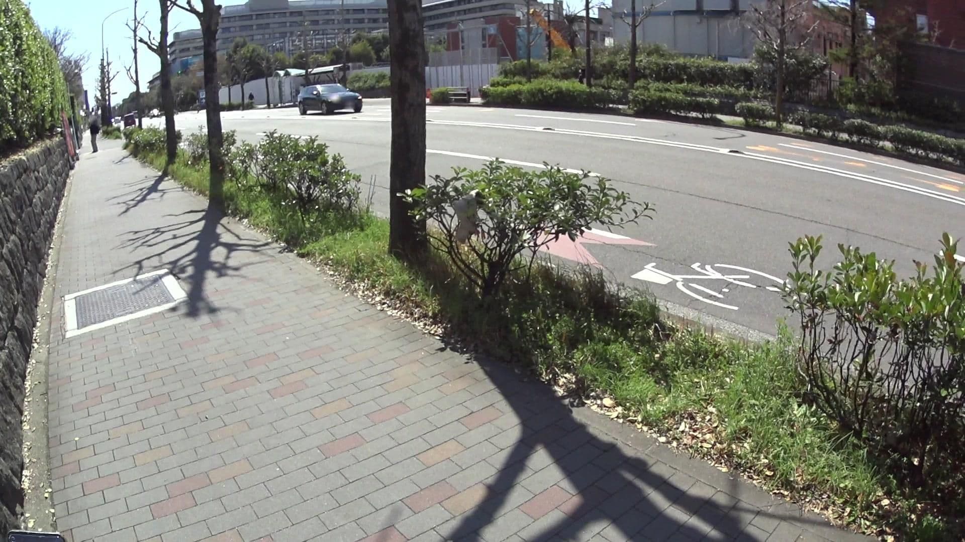 Street view near 芝蘭会館 別館, Kamigyō-ku — © yasunari (CC BY-SA · Mapillary)