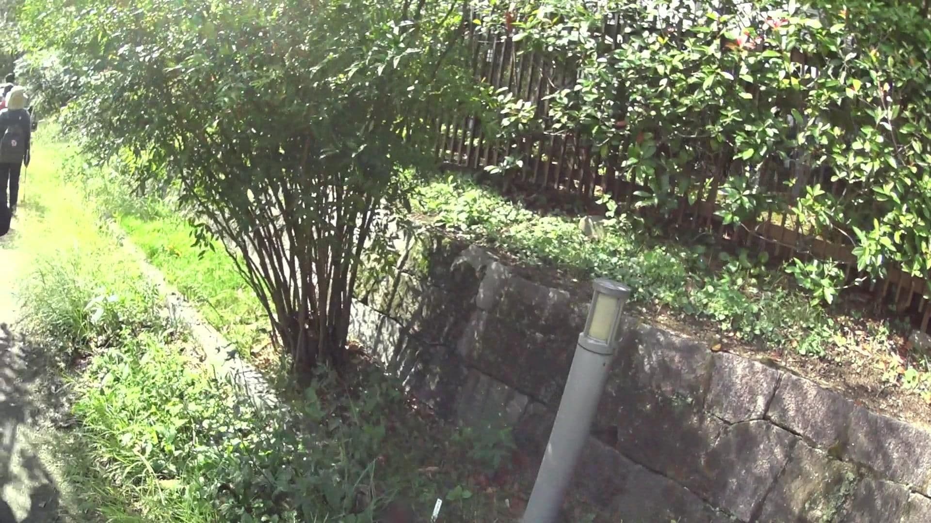 Street view near ダイヤモンド京都ソサエティ, Kyoto — © yasunari (CC BY-SA · Mapillary)