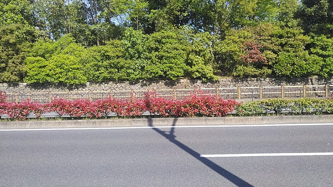 Street view near ザ・パレスホテル, Kyoto — © kojiroucircle (CC BY-SA · Mapillary)