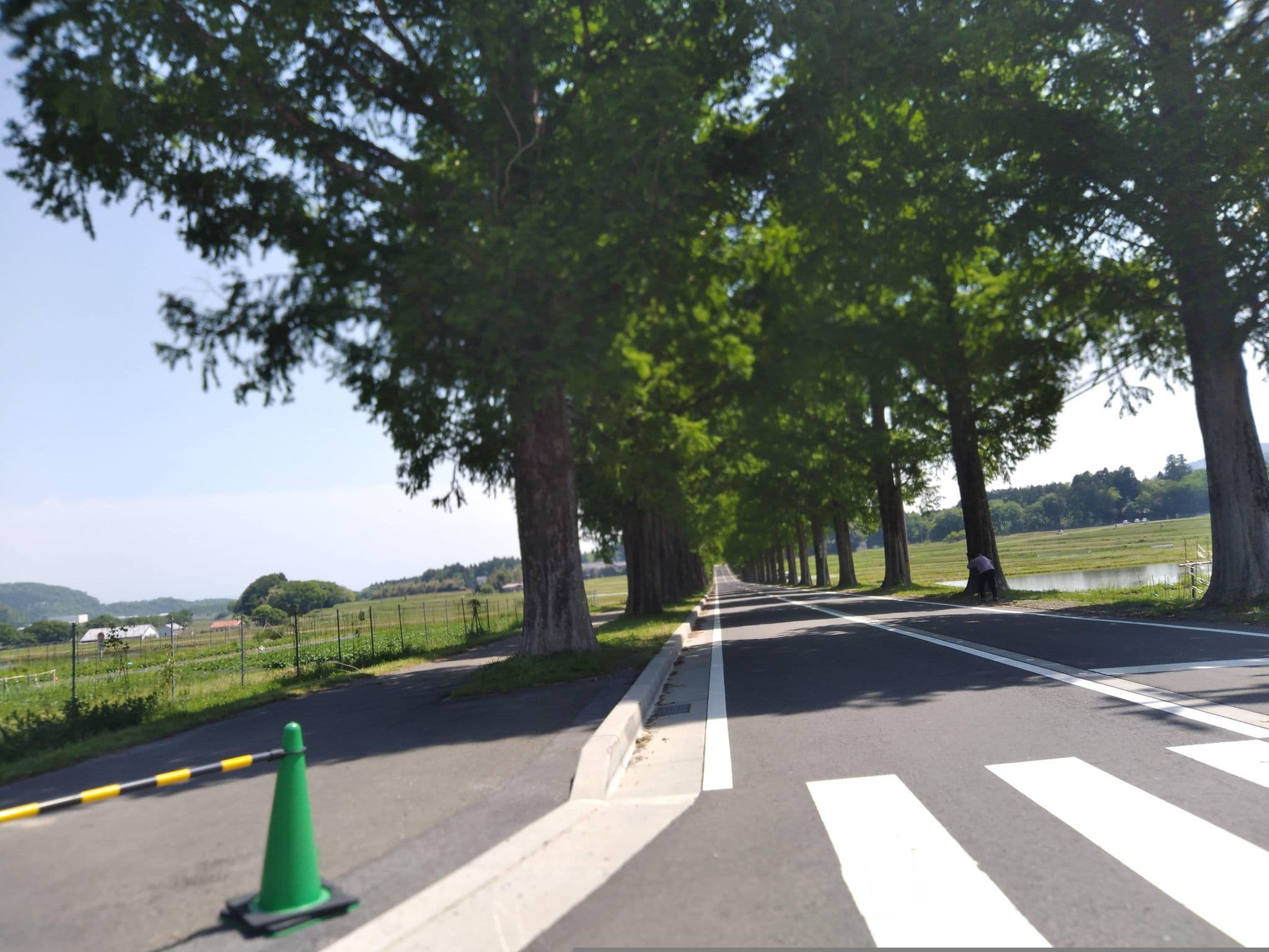 Street view near 幸乃家, Takashima — © yasunari (CC BY-SA · Mapillary)
