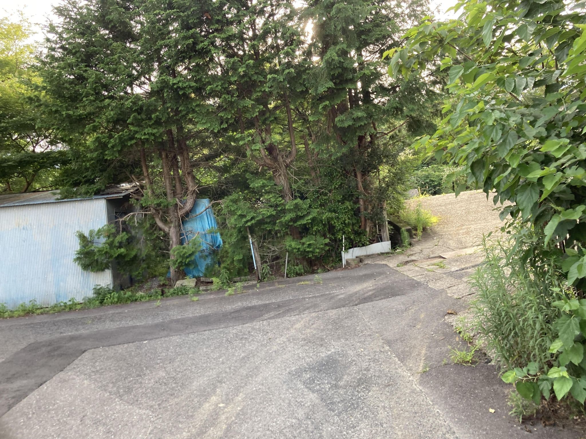 Street view near 湯の山ゆらぎ園, Komono — © 24kawa (CC BY-SA · Mapillary)