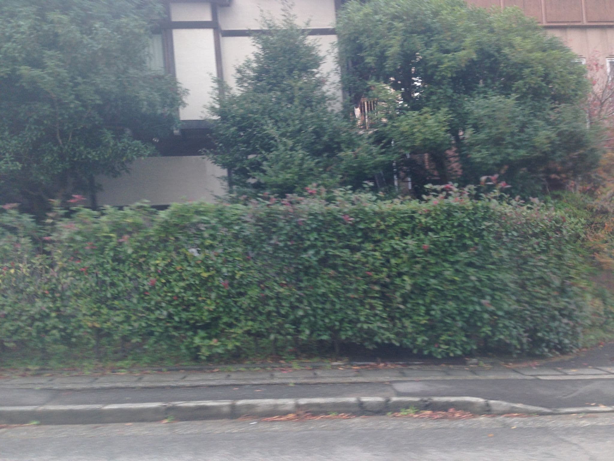 Street view near 温泉めい想倶楽部 富士屋旅館, Kaga — © tosseto (CC BY-SA · Mapillary)