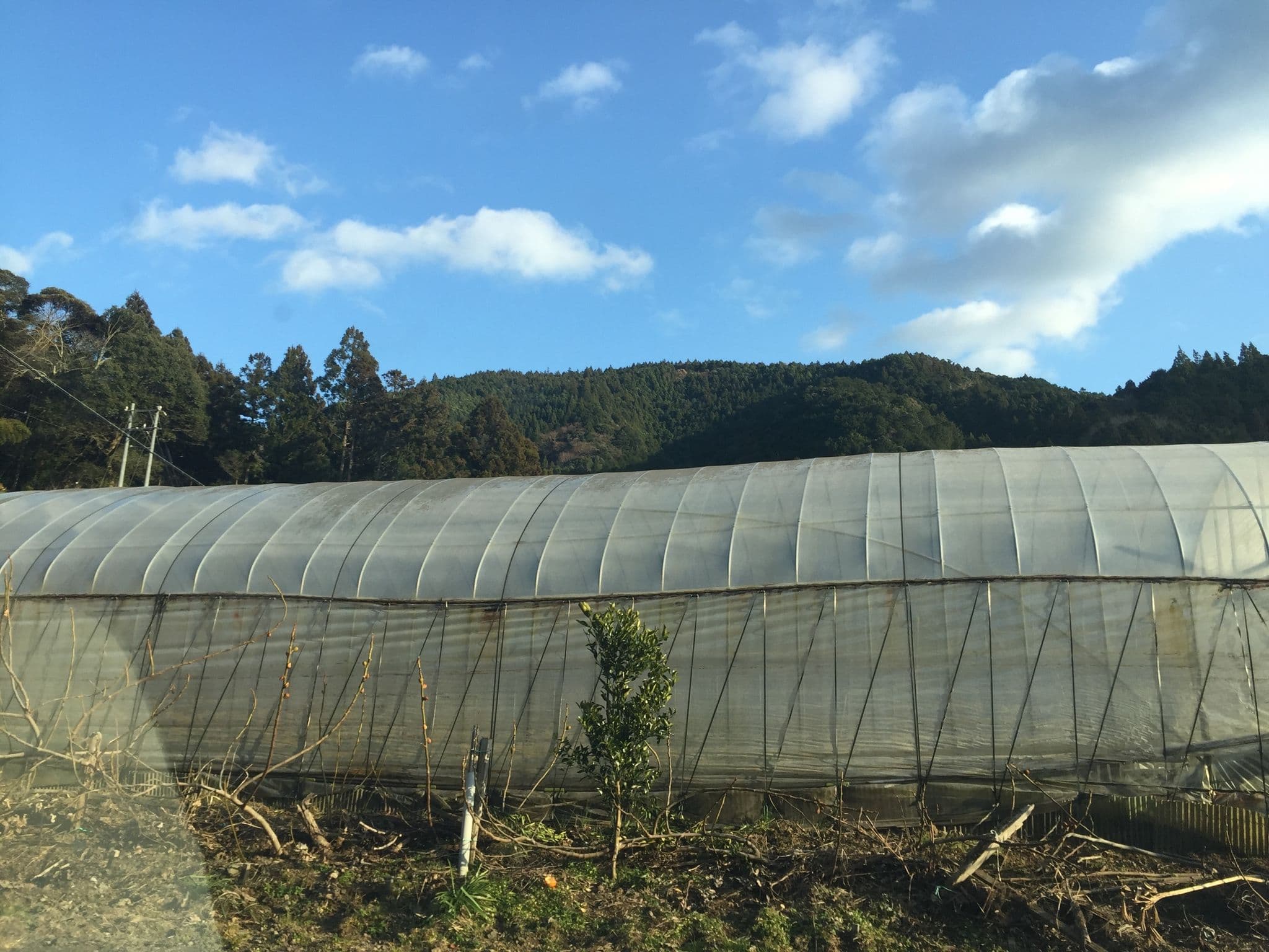Street view near 友田家住宅, Mori — © kouki (CC BY-SA · Mapillary)
