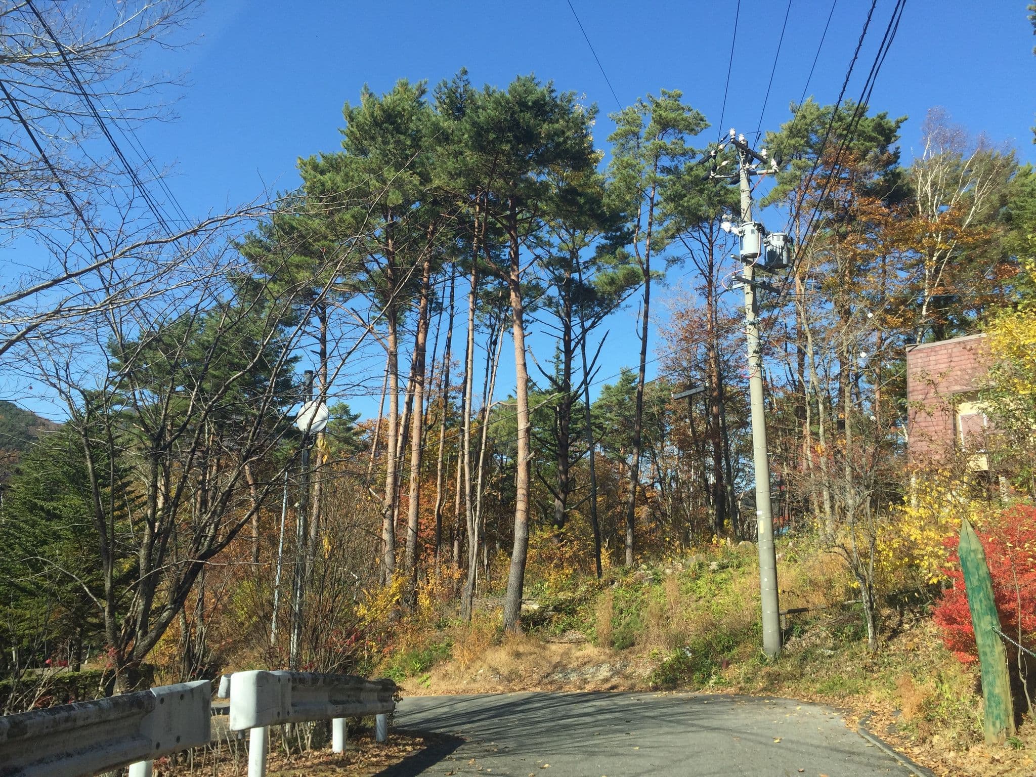 Street view near トヨタ自動車健康保険組合ゆーらっくす治部坂, Komaba — © kouki (CC BY-SA · Mapillary)