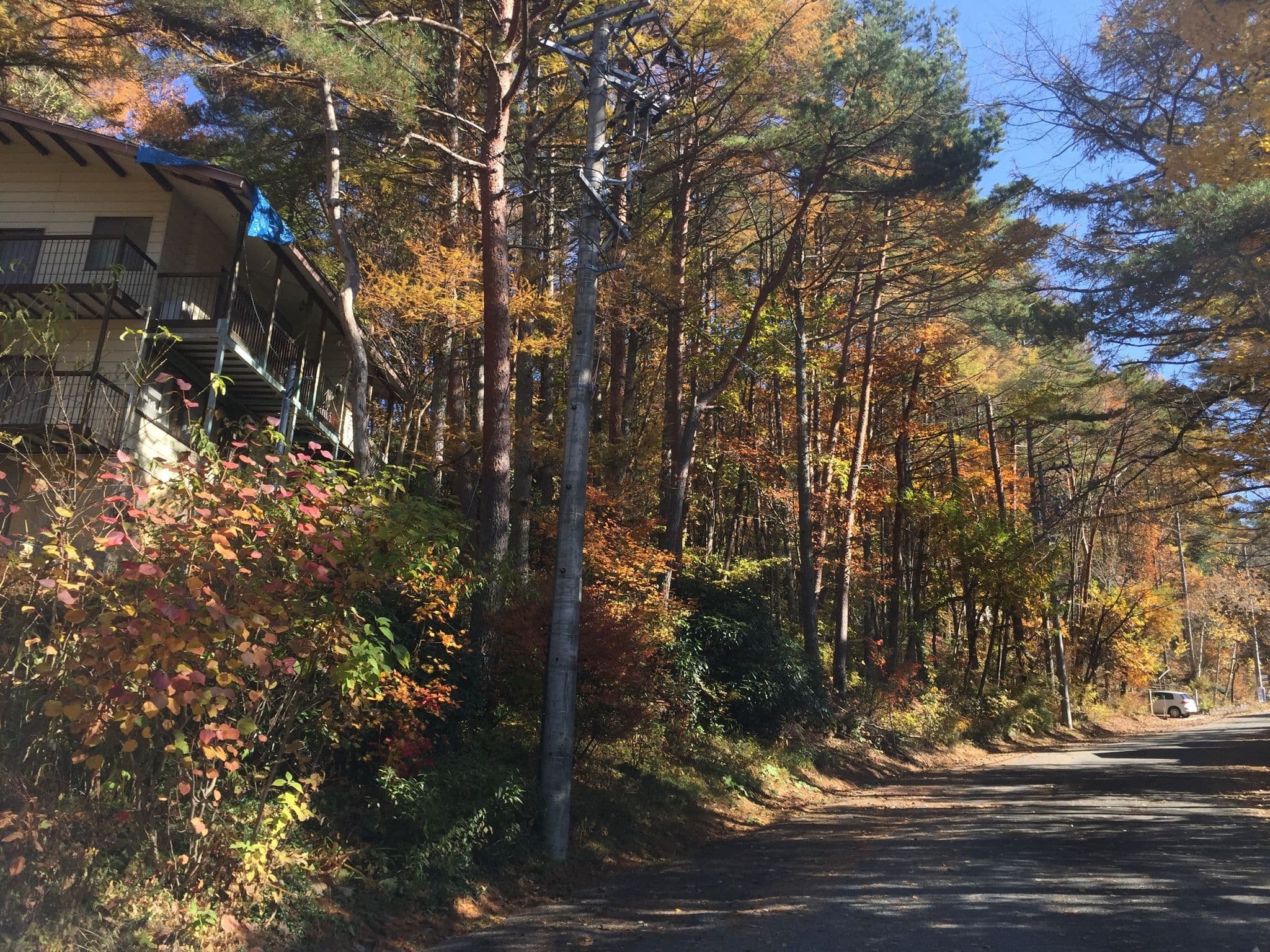 Street view near トヨタ自動車 あららぎ荘, Komaba — © kouki (CC BY-SA · Mapillary)