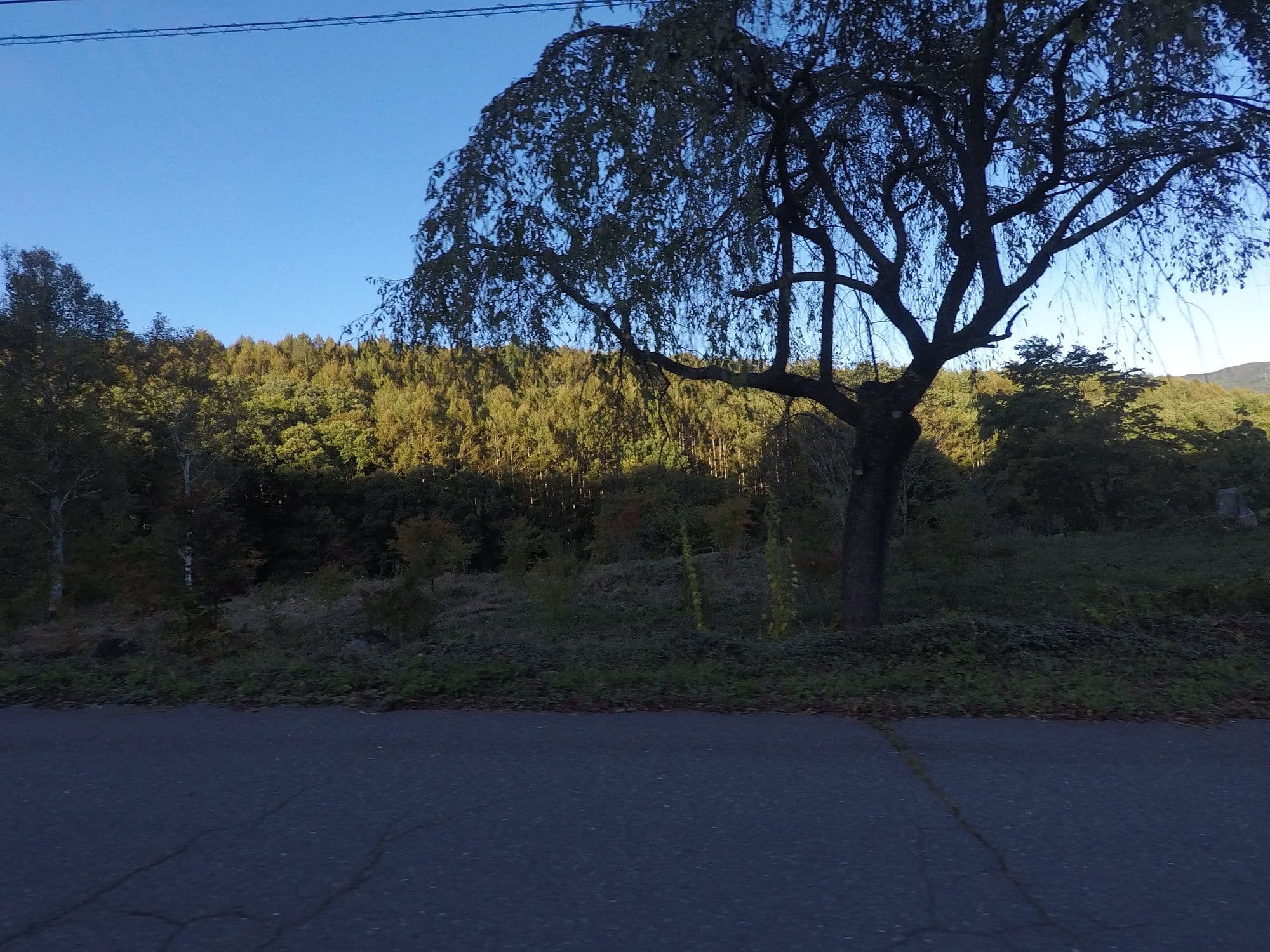 Street view near 清水荘, Kiso — © 24dakenlo (CC BY-SA · Mapillary)