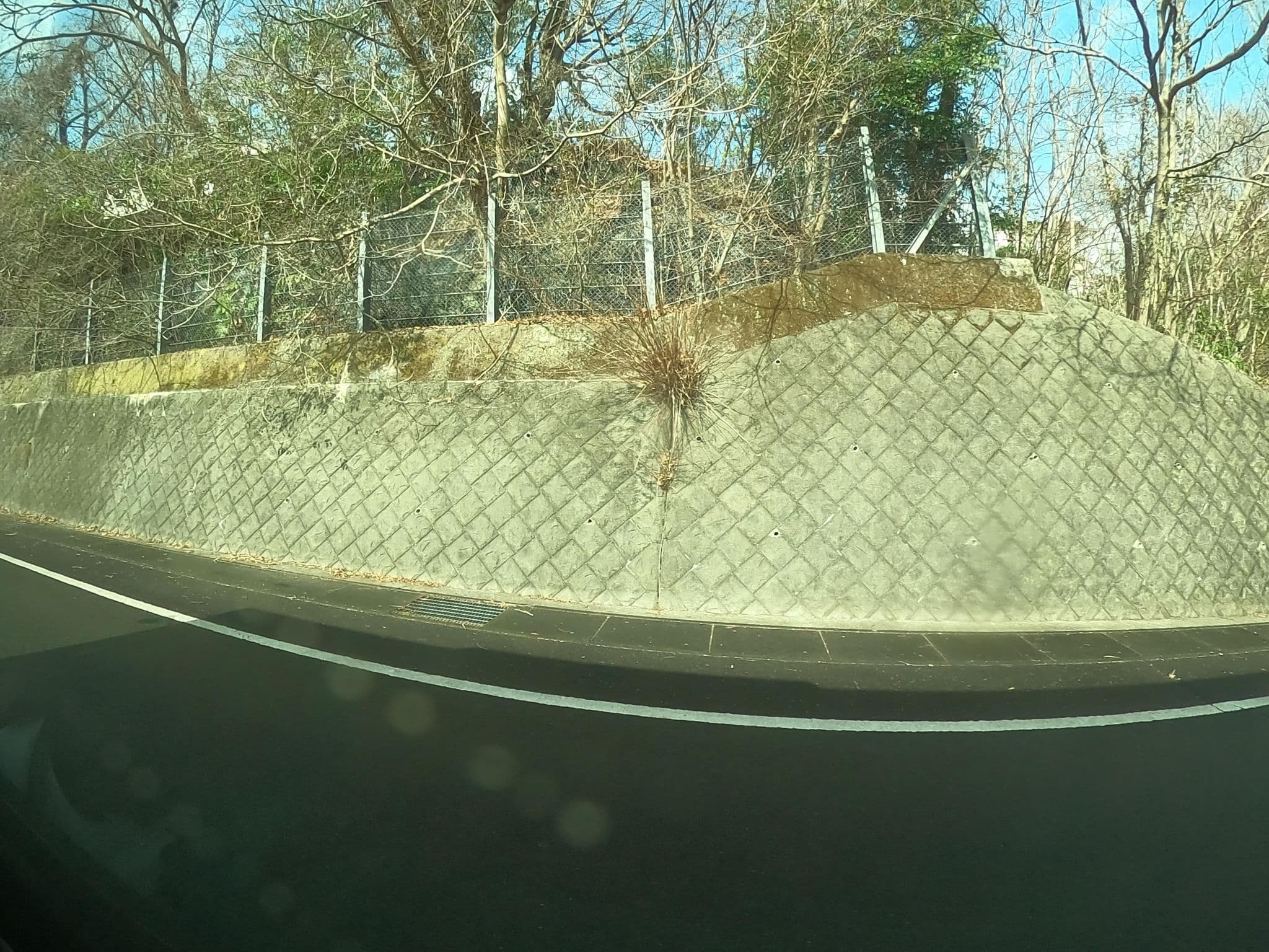 Street view near ドッグリゾート　ＯＮＥ　ＭＯＲＥ, Itō — © castletrain (CC BY-SA · Mapillary)