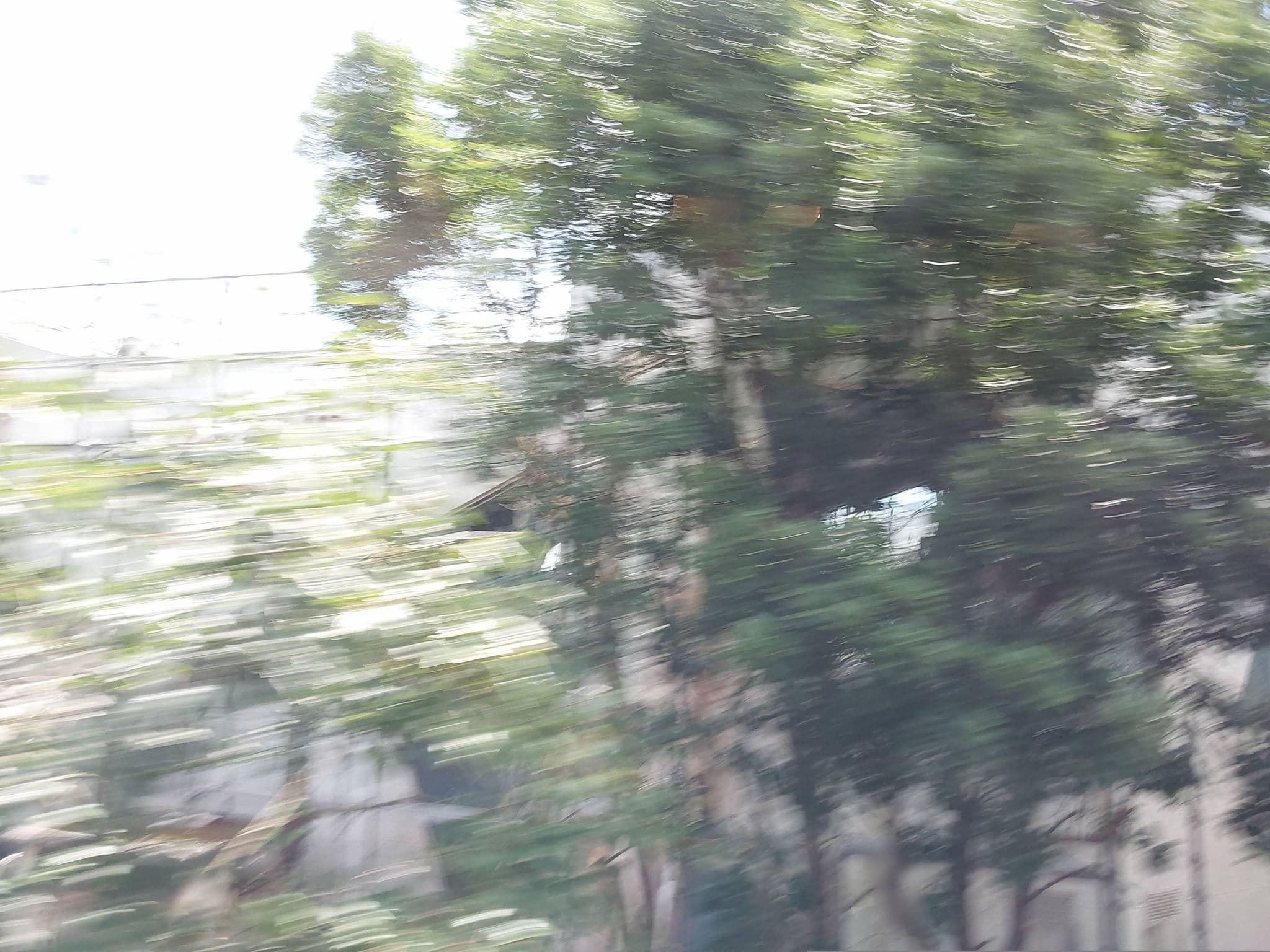 Street view near ペット連れ専用 プチホテル サンロード, Itō — © ChenJJ (CC BY-SA · Mapillary)