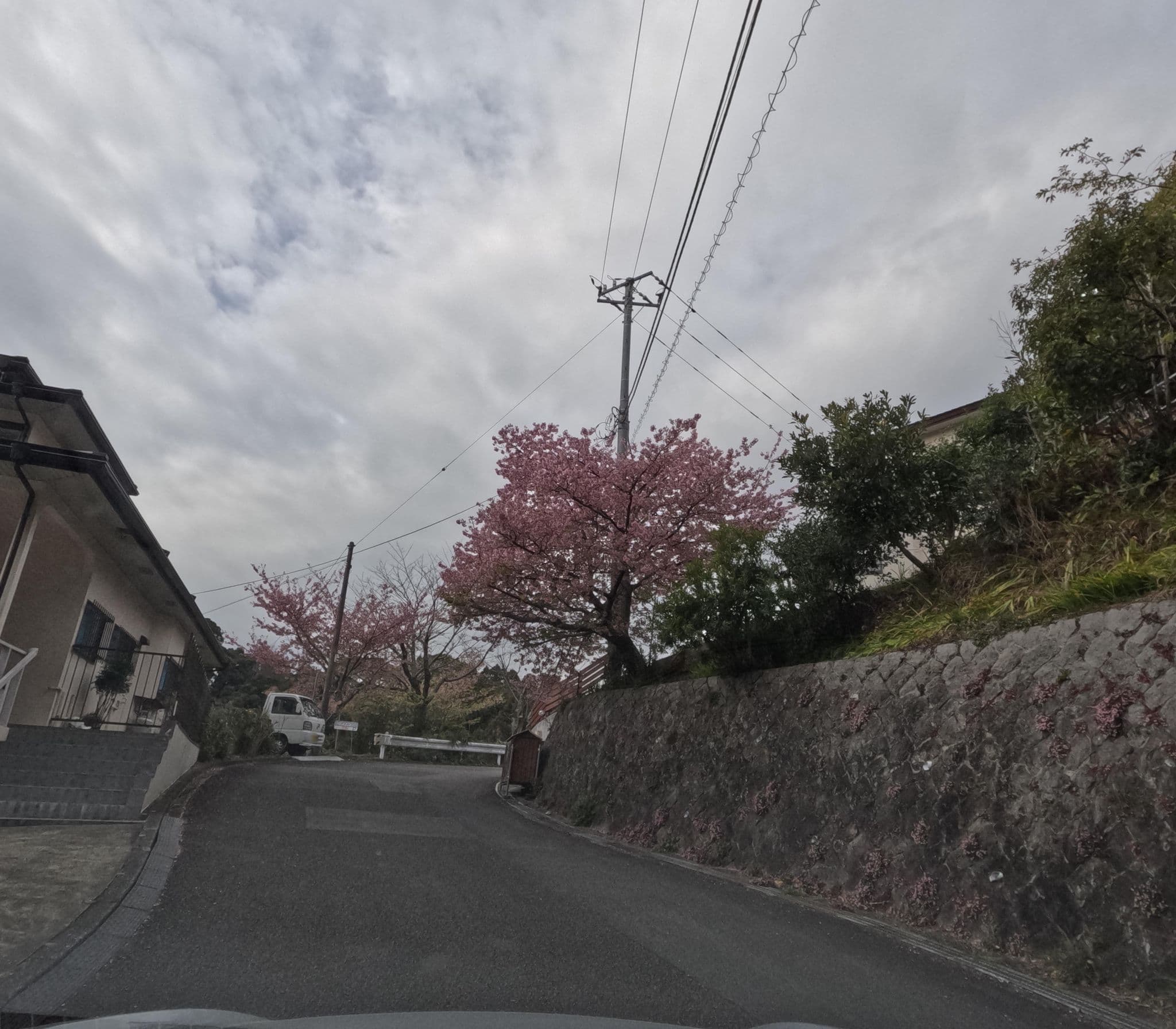 Street view near ビーチサイド100, Kawazu-ikadaba — © rsnaru (CC BY-SA · Mapillary)