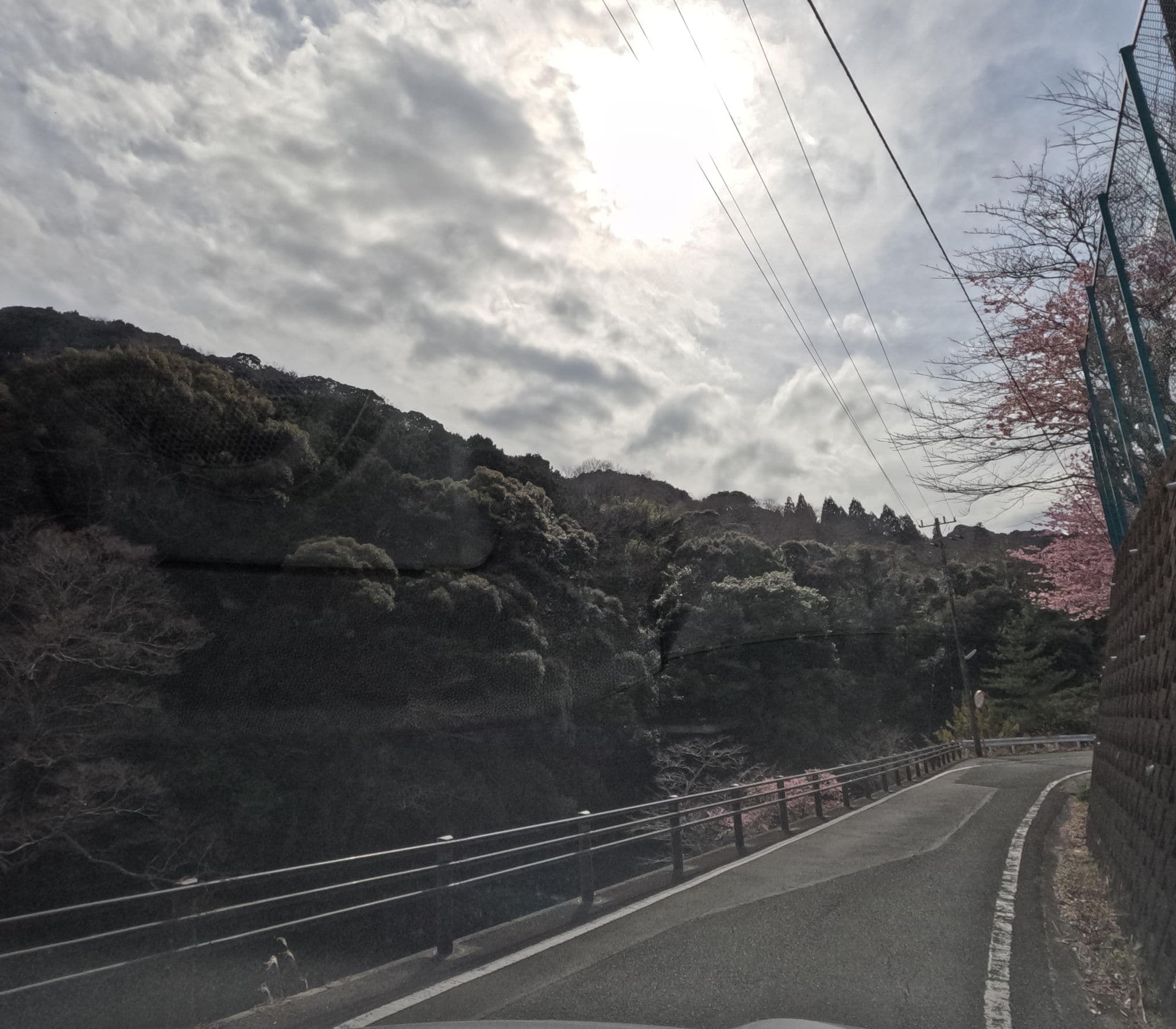 Street view near 国民宿舎かわづ, Kawazu-ikadaba — © rsnaru (CC BY-SA · Mapillary)