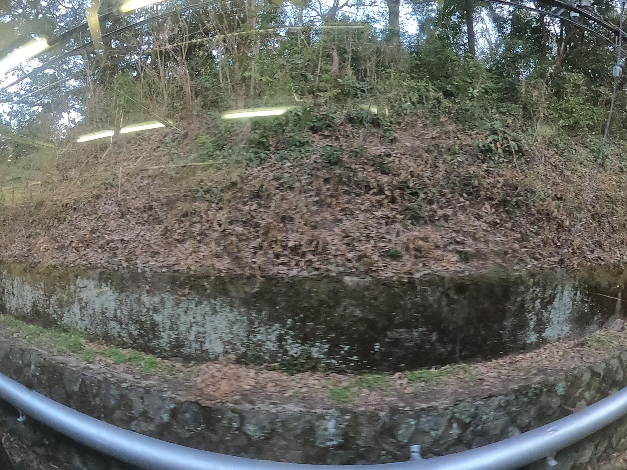 Street view near 大川館, Inatori — © castletrain (CC BY-SA · Mapillary)