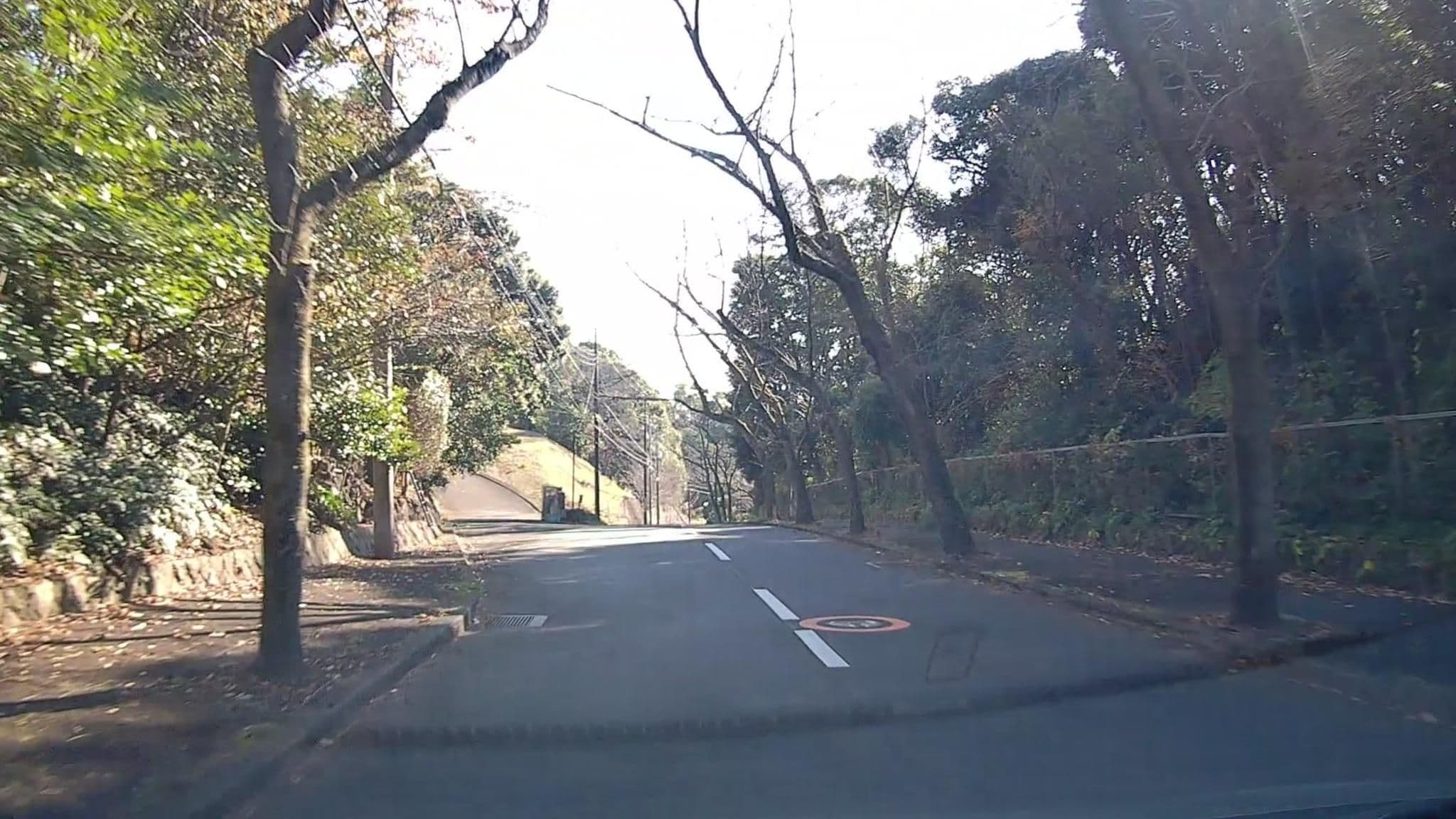 Street view near 伊豆ドッグペンションR65, Itō — © mzaki (CC BY-SA · Mapillary)