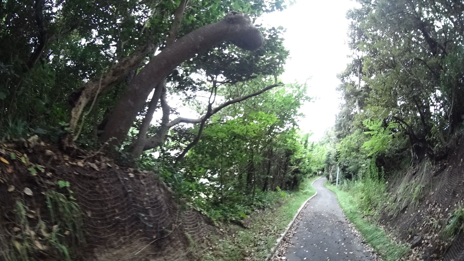 Street view near 鈴豊, Shikinejima — © mura (CC BY-SA · Mapillary)