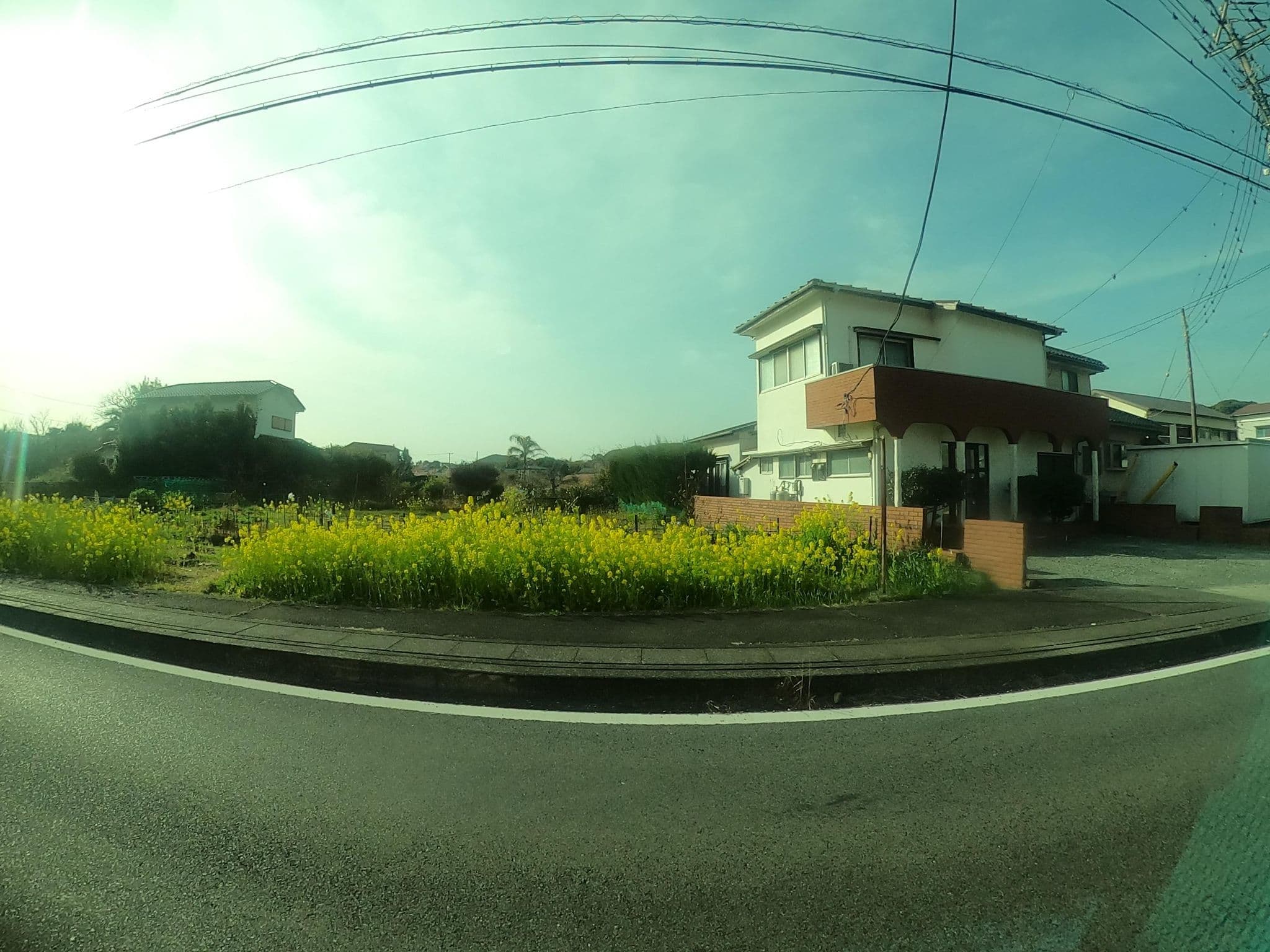 Street view near 紺屋荘, Kawazu-ikadaba — © castletrain (CC BY-SA · Mapillary)