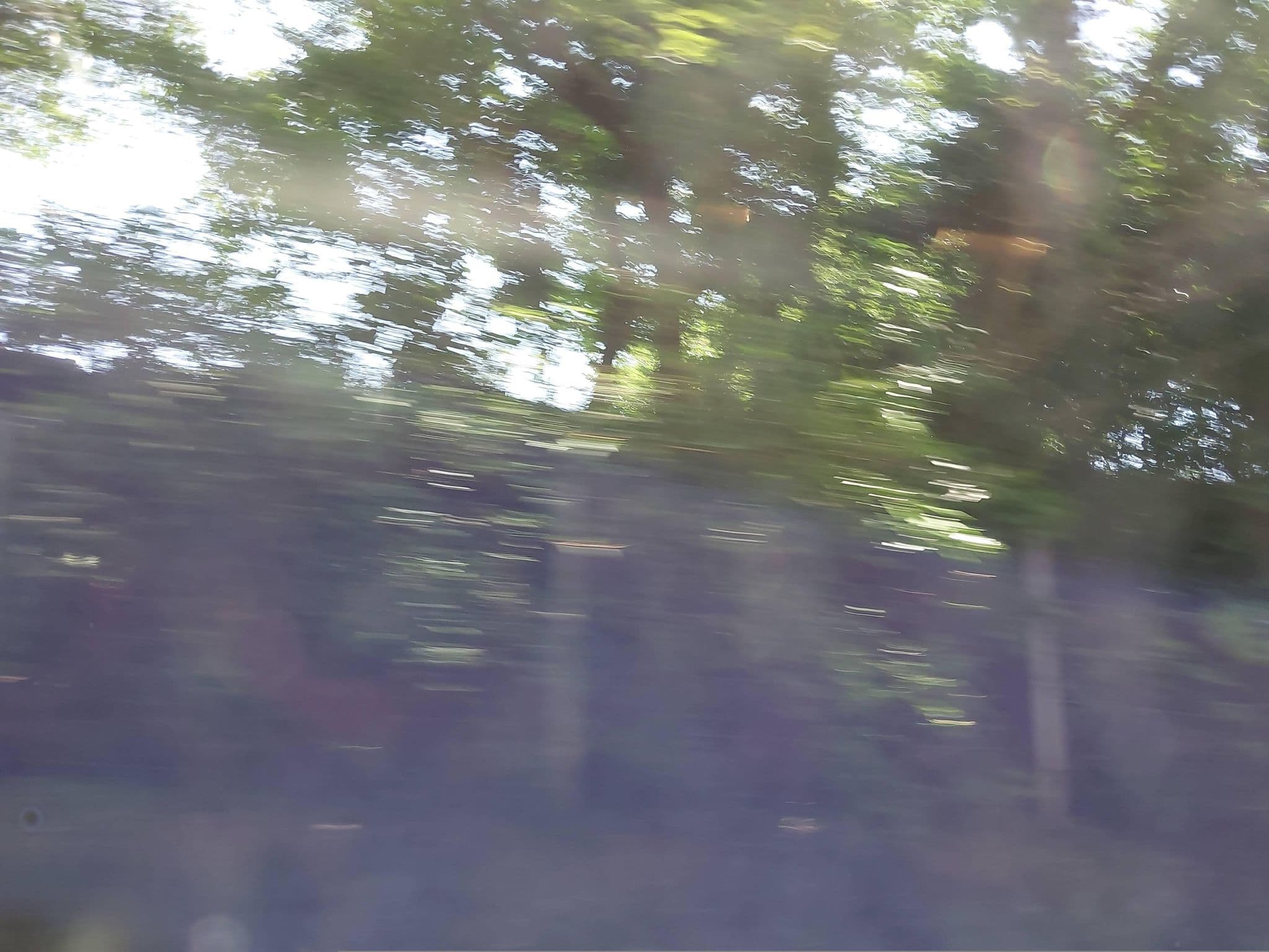 Street view near アメリカンハウス エンジェル・キッス, Itō — © ChenJJ (CC BY-SA · Mapillary)