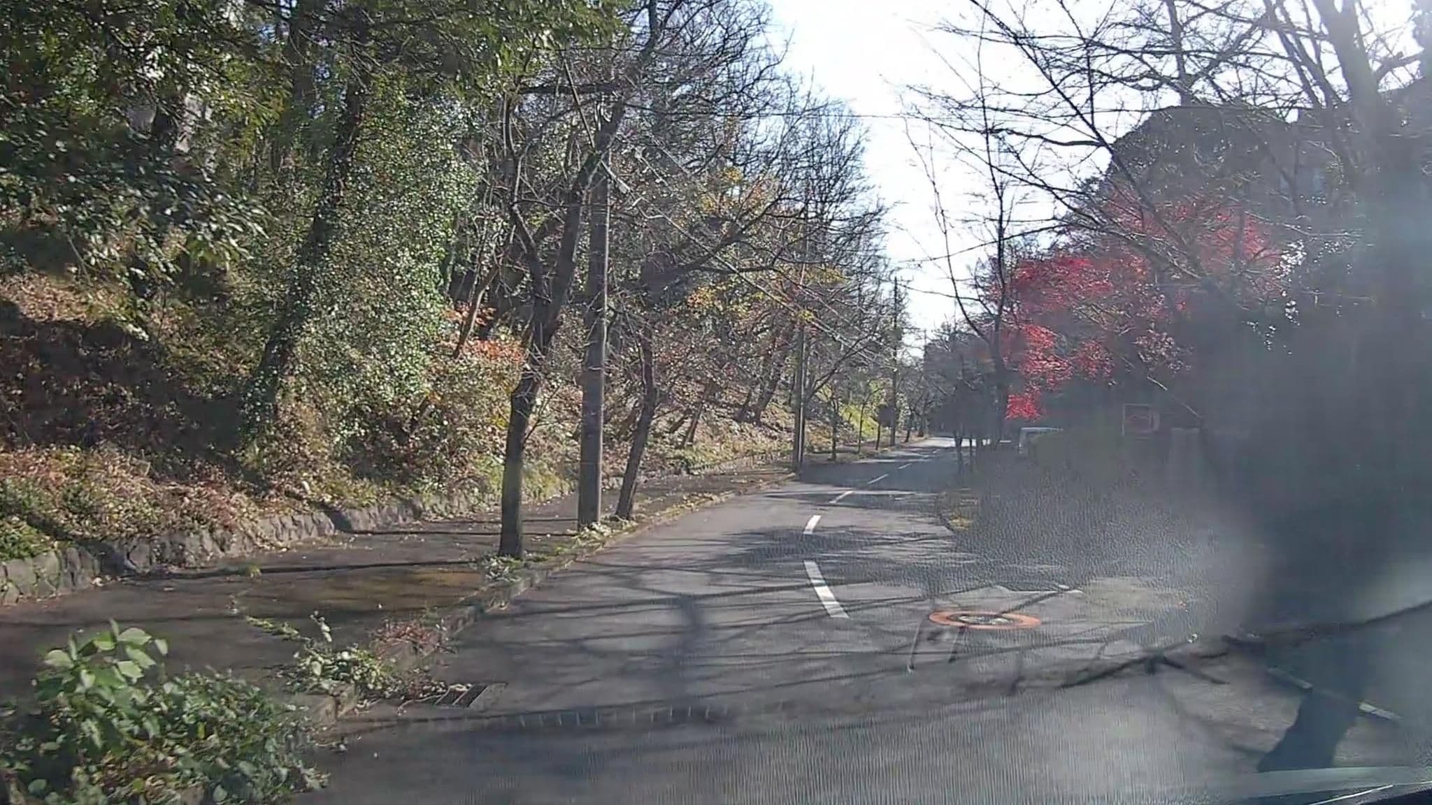 Street view near OPA RESORT, Itō — © mzaki (CC BY-SA · Mapillary)