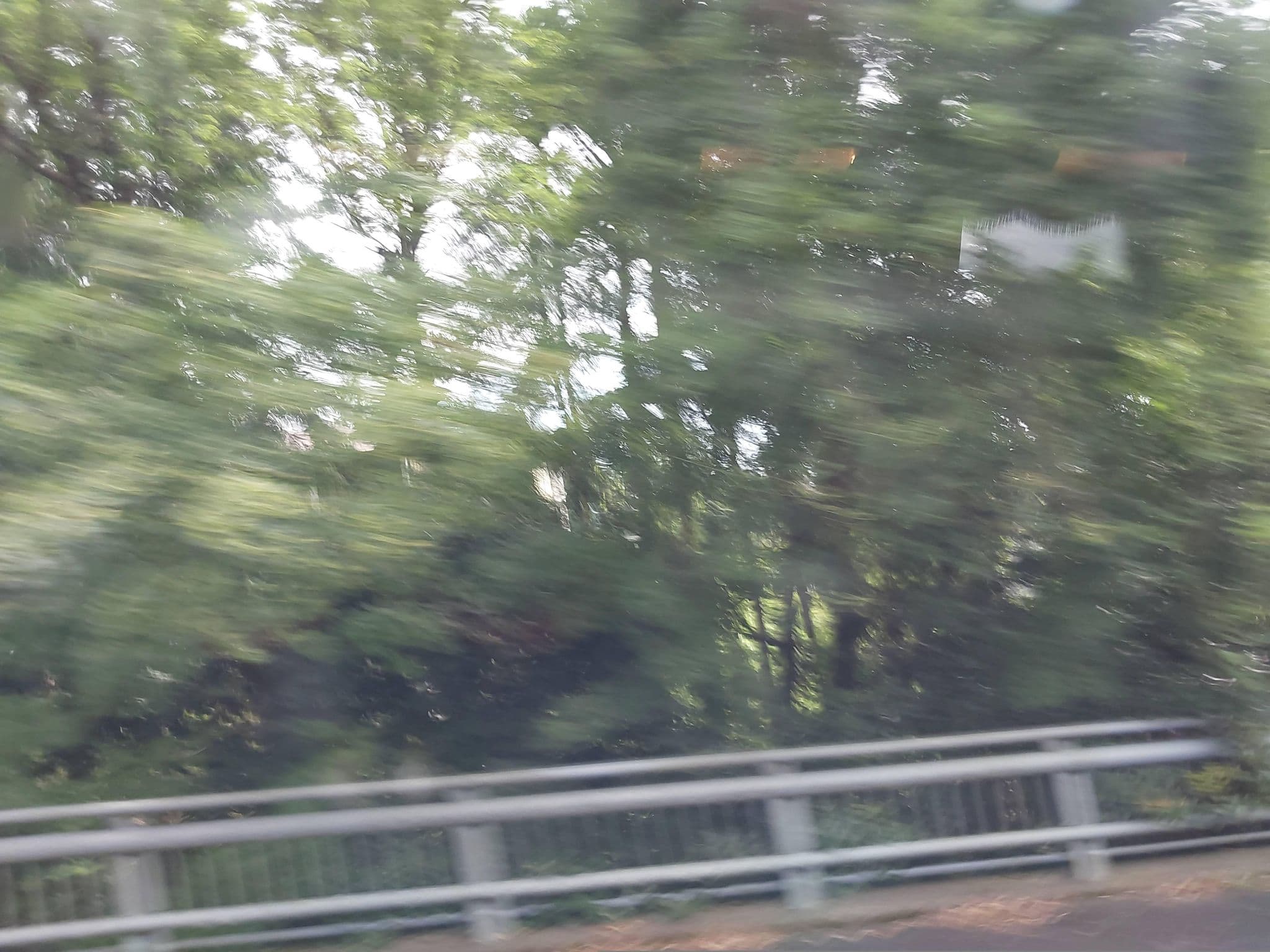 Street view near 伊豆高原 別荘地 28次地区, Itō — © ChenJJ (CC BY-SA · Mapillary)