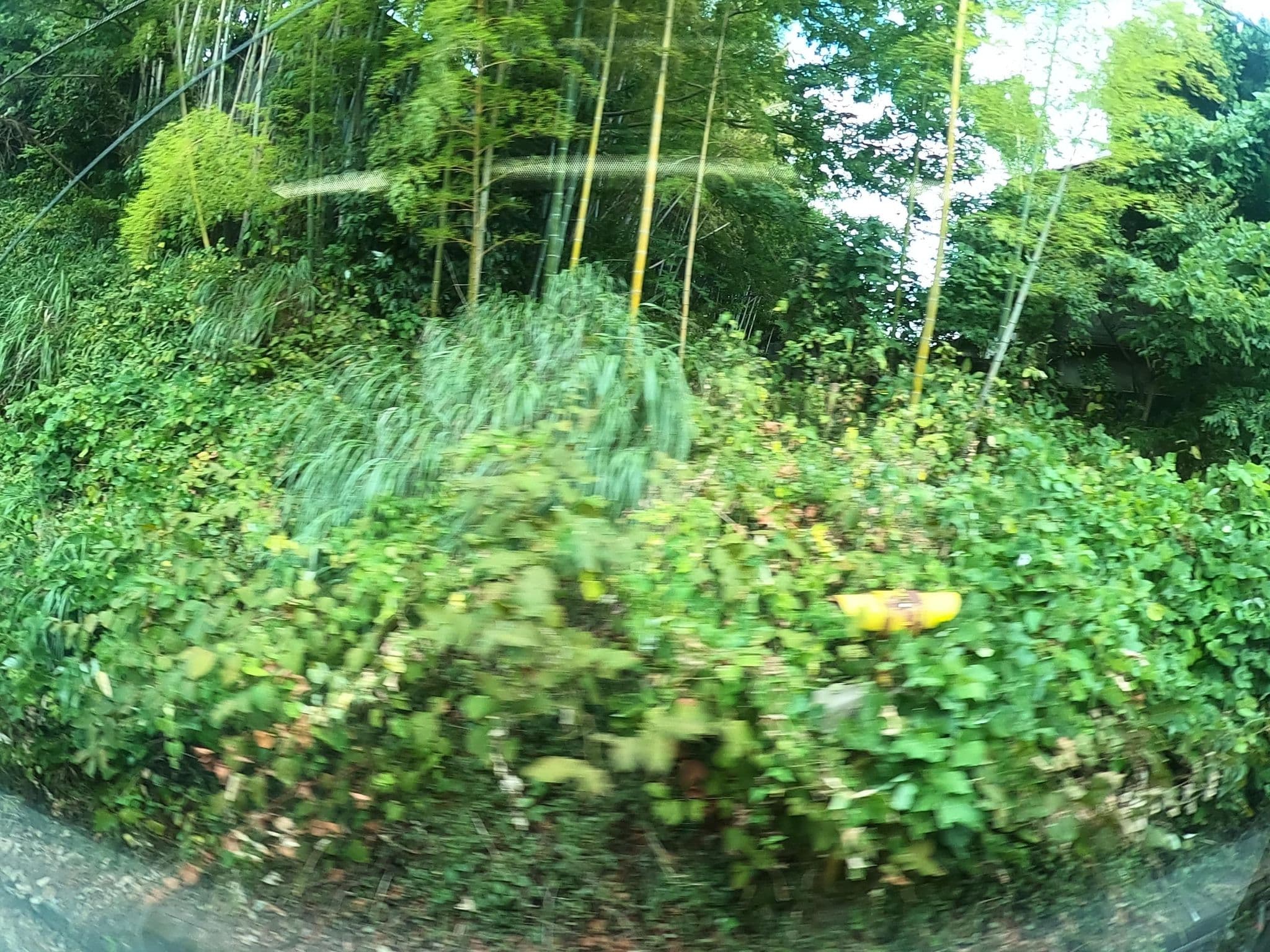 Street view near 参道の旅籠 伊豆梛, Atami — © castletrain (CC BY-SA · Mapillary)