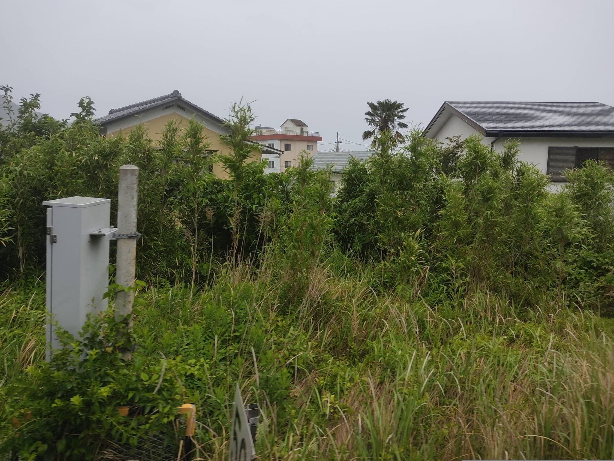 Street view near 伊豆の宿 静海, Itō — © tonoyamatanken (CC BY-SA · Mapillary)