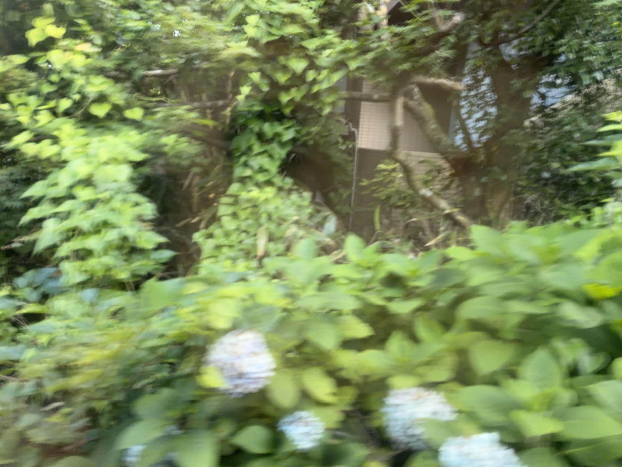 Street view near 東プラ箱根, Hakone — © ChenJJ (CC BY-SA · Mapillary)