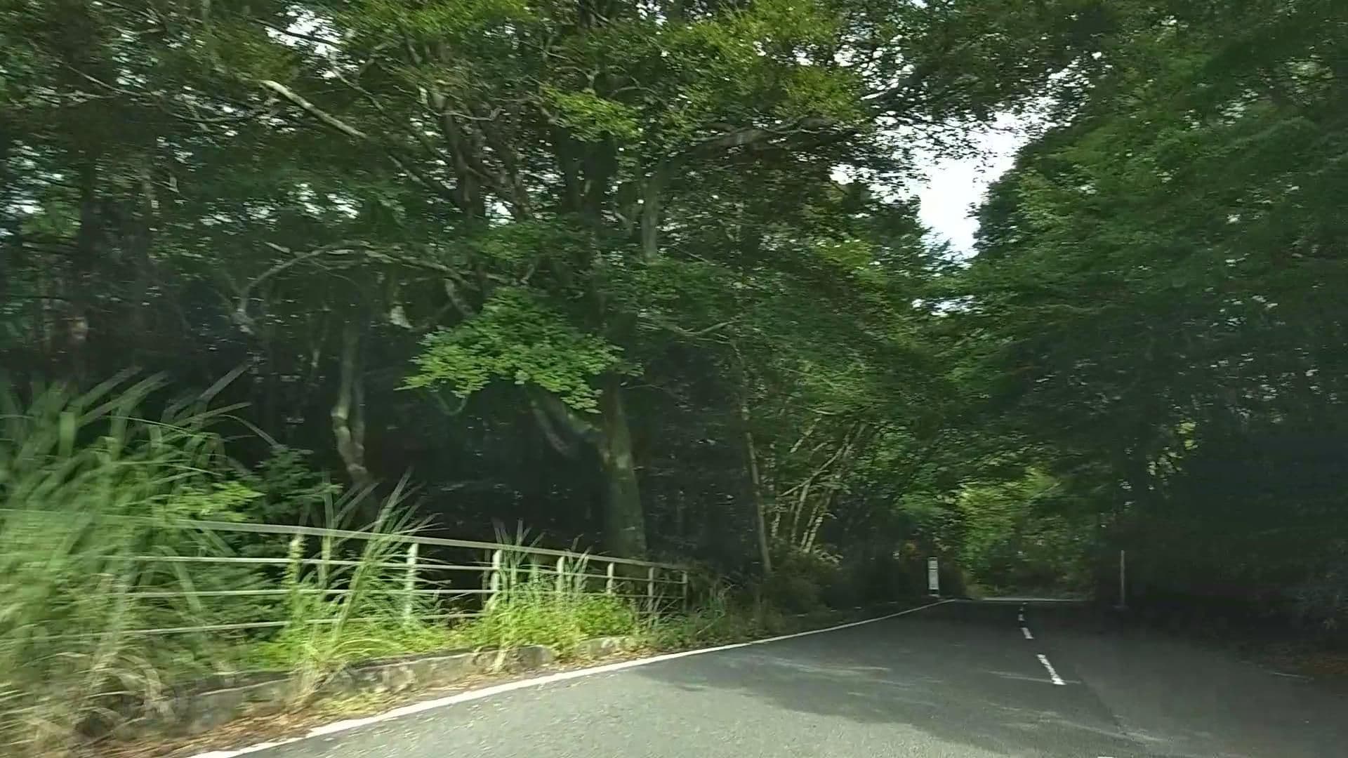 Street view near マイム, Hakone — © drivephotograph (CC BY-SA · Mapillary)