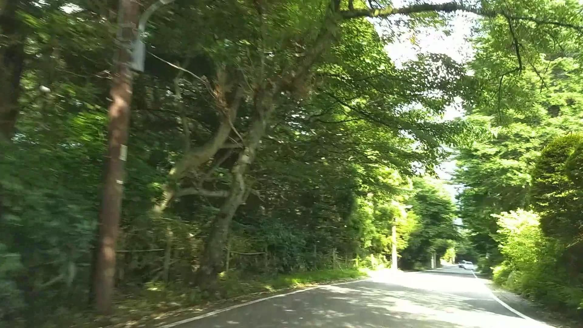 Street view near 強羅温泉 箱根 紅蜻蛉（あかとんぼ）, Hakone — © drivephotograph (CC BY-SA · Mapillary)