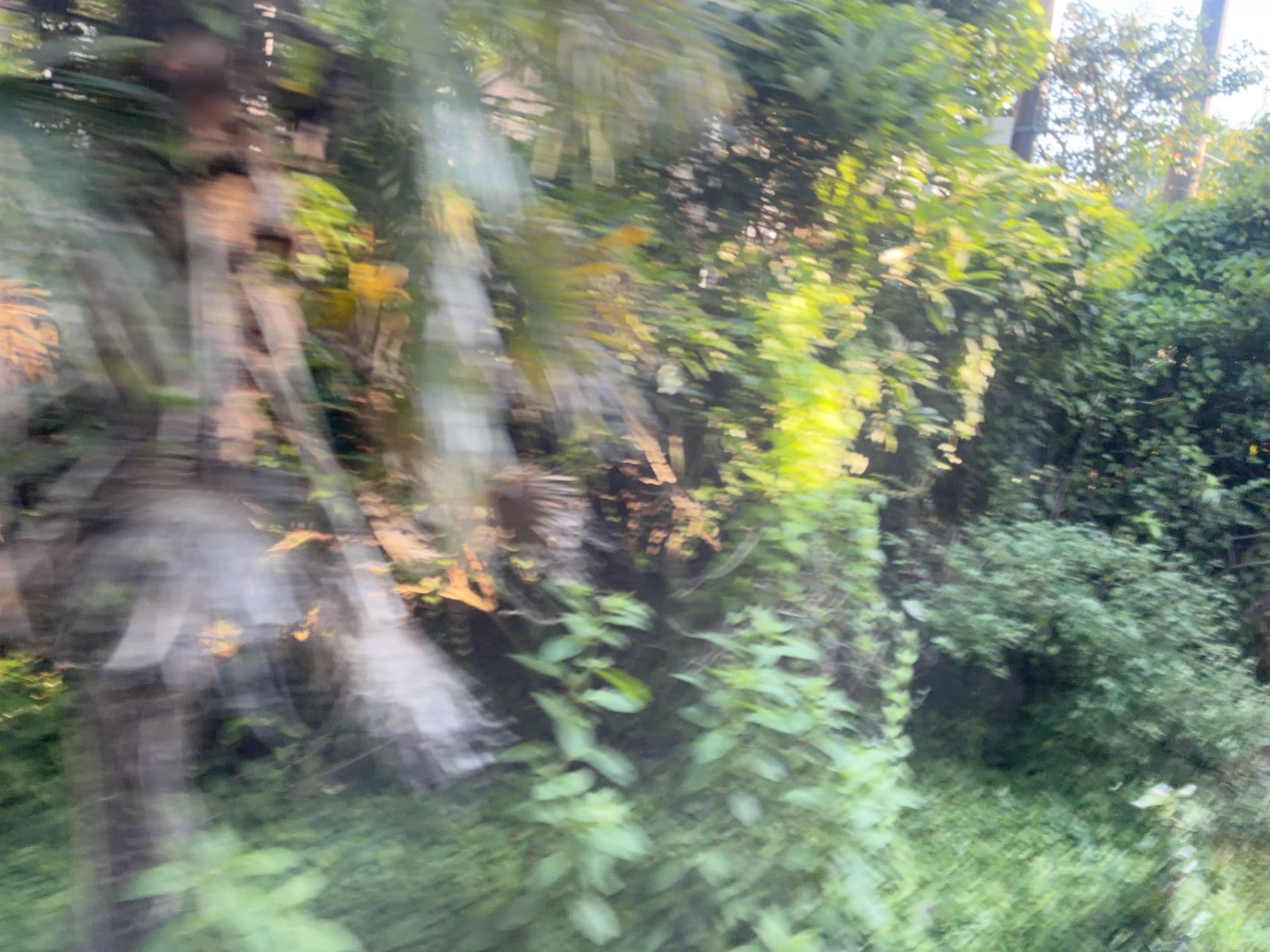 Street view near 湯の宿遊月, Hakone — © ChenJJ (CC BY-SA · Mapillary)