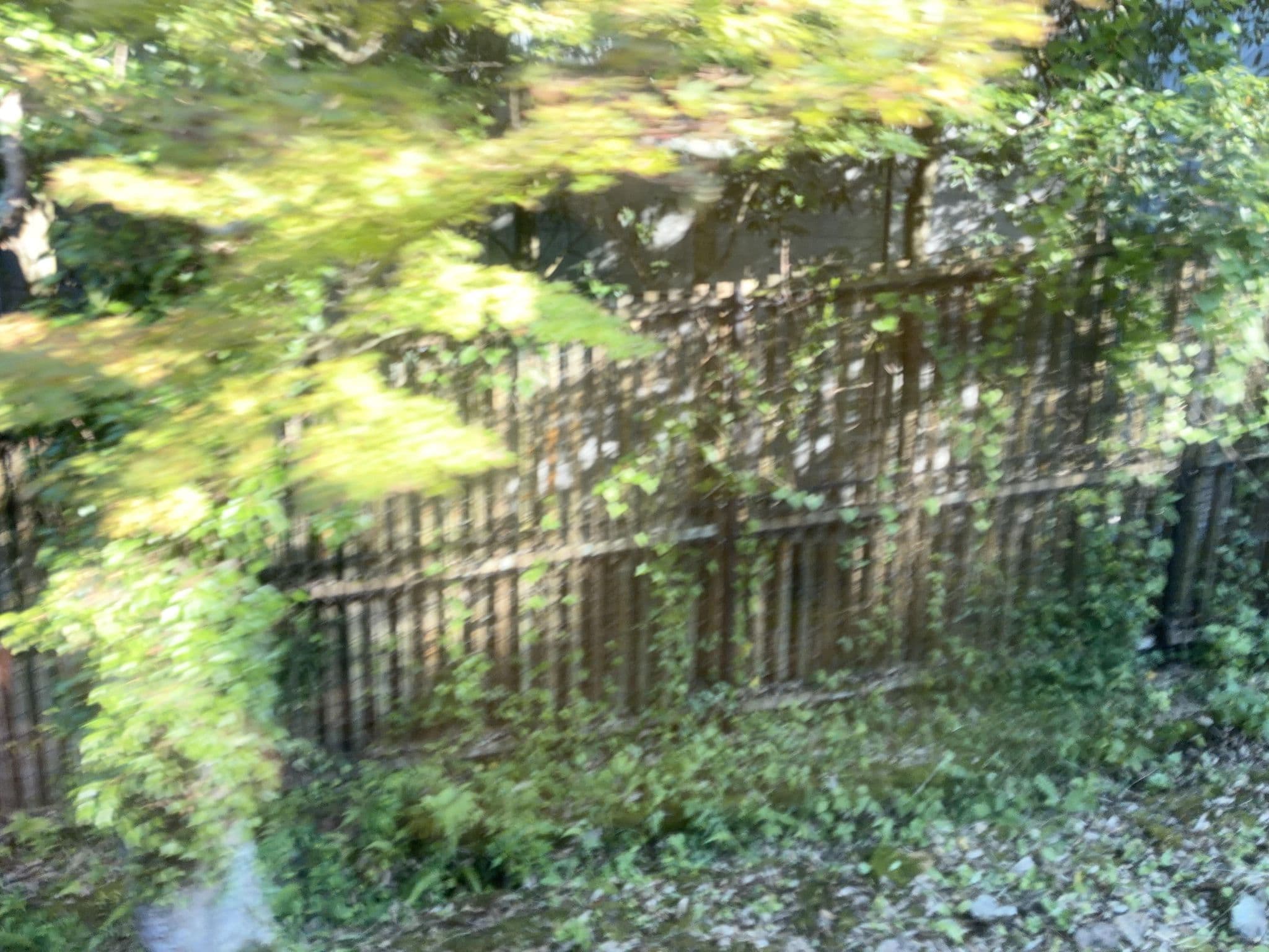 Street view near 蔵のや, Hakone — © ChenJJ (CC BY-SA · Mapillary)
