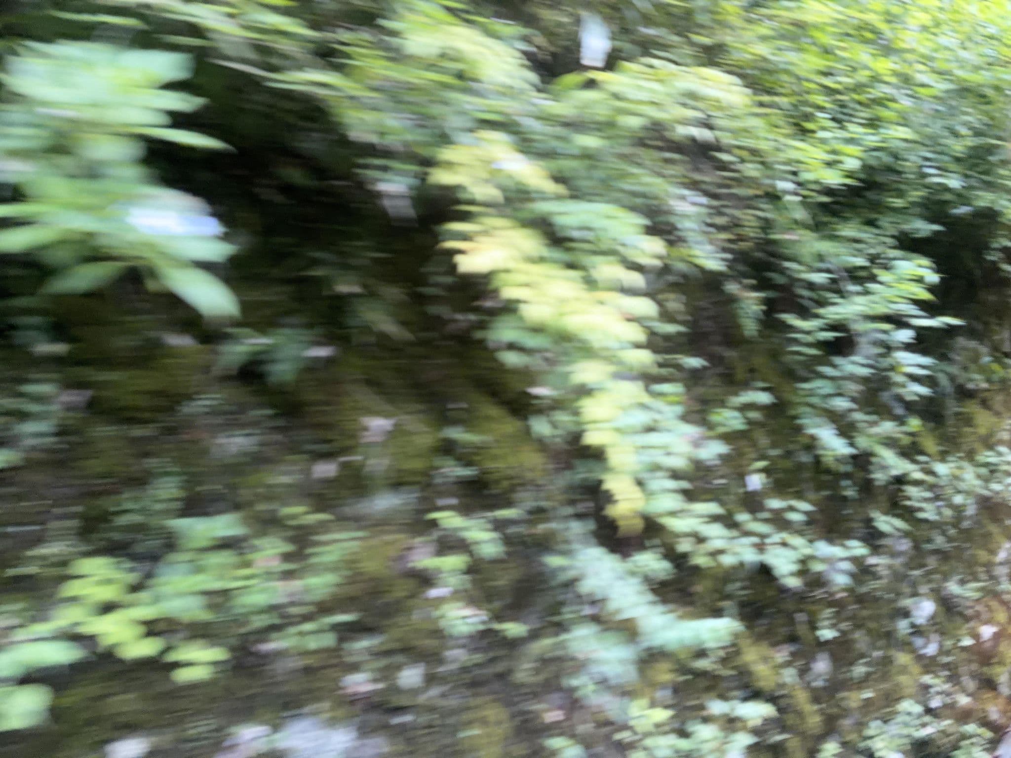 Street view near 翠の宿, Hakone — © ChenJJ (CC BY-SA · Mapillary)
