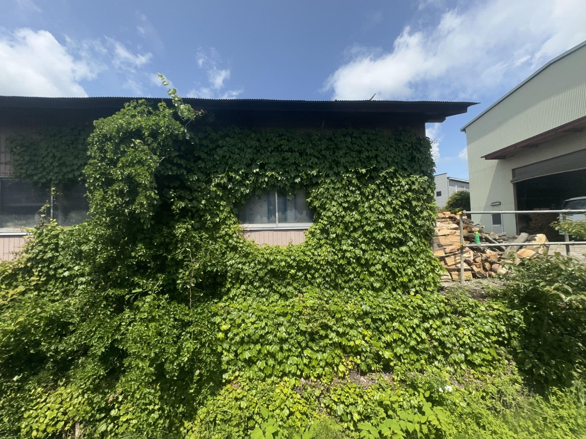 Street view near Rakuten Stay House Willstyle Fujiyoshida Matsuyama, Fujiyoshida — © quickness805 (CC BY-SA · Mapillary)