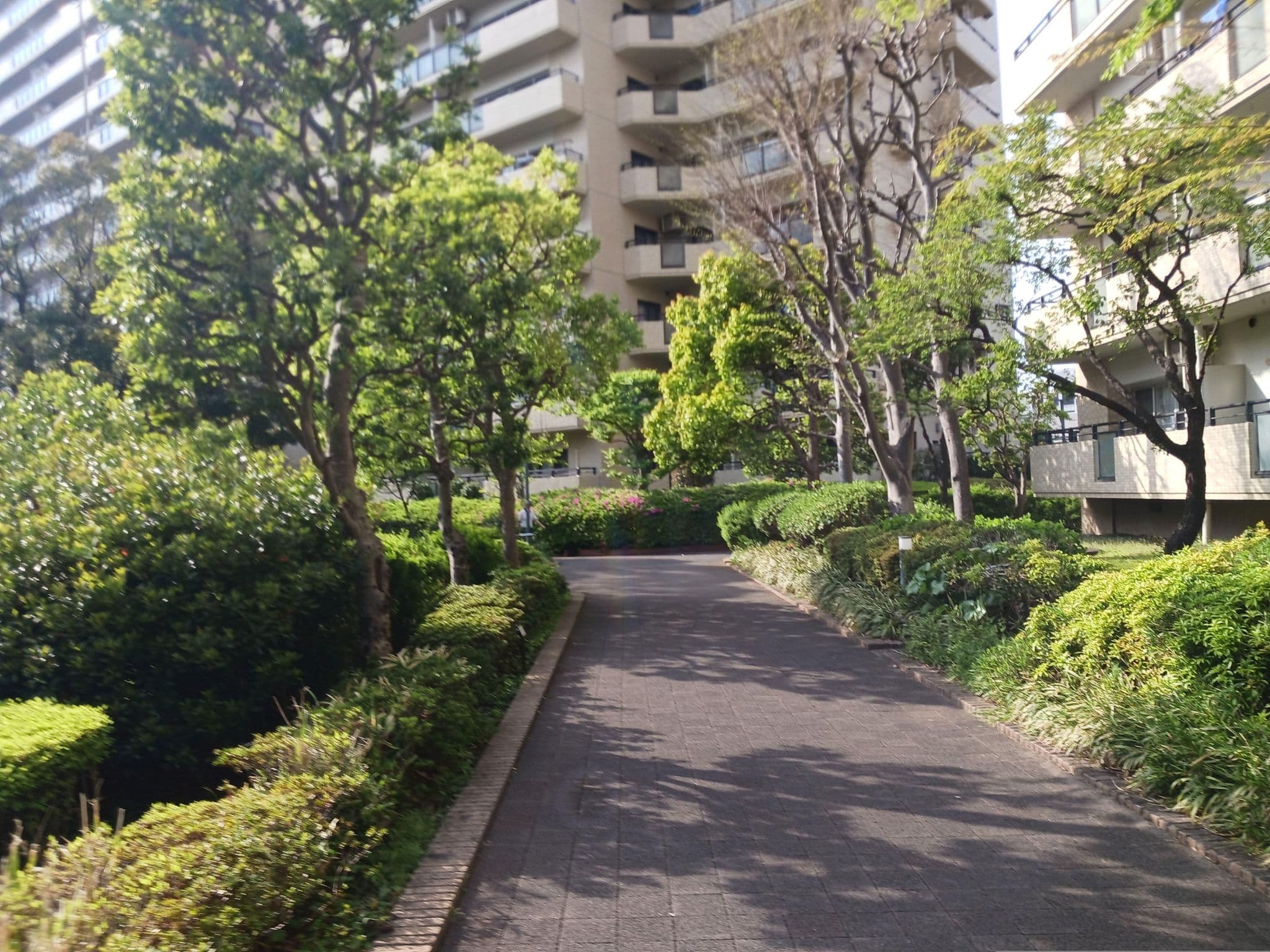 Street view near Pratt's Place, Bunkyo — © seckey (CC BY-SA · Mapillary)