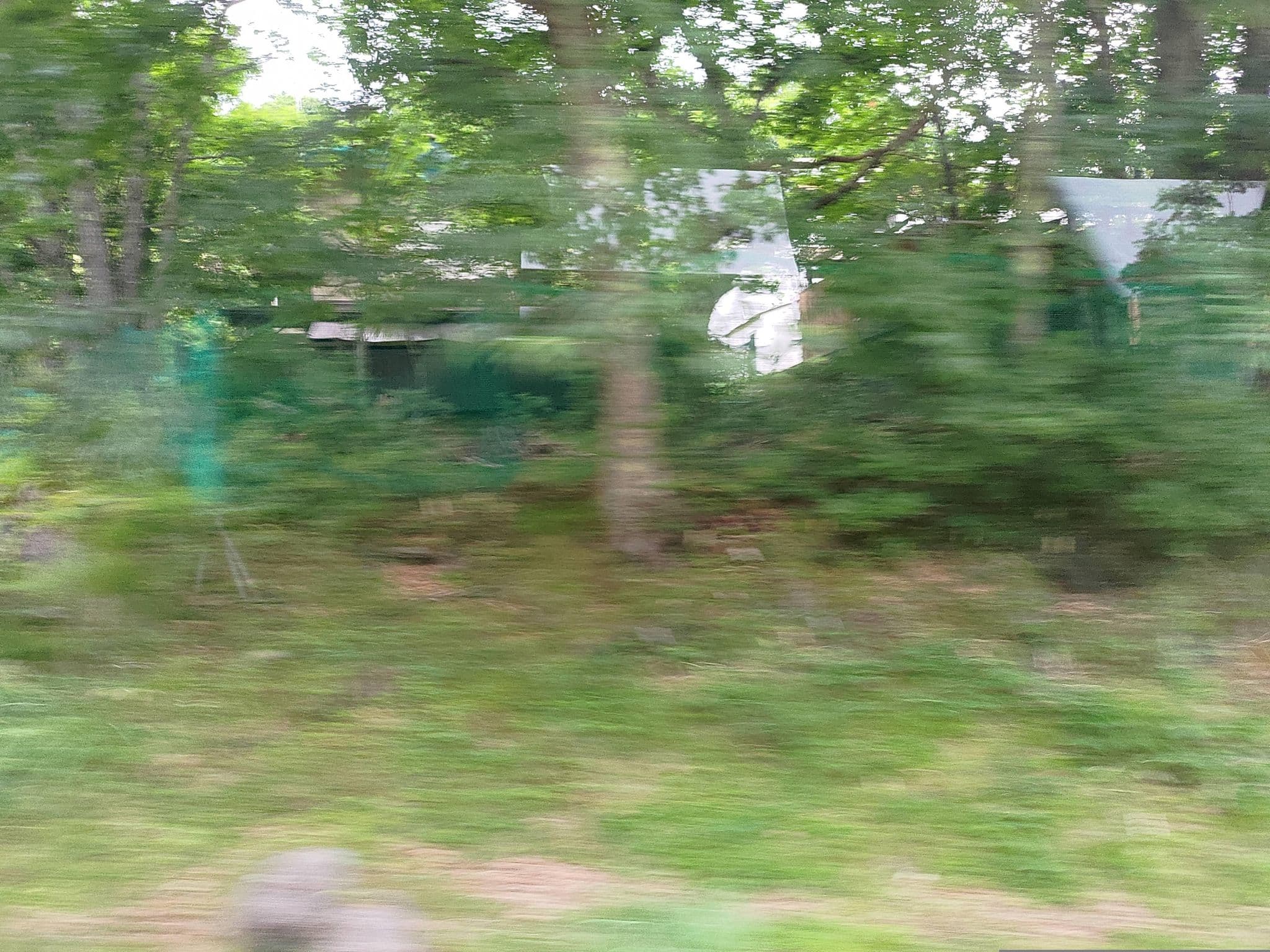 Street view near オーベルジュつつじとかえで, Nakazawa — © ChenJJ (CC BY-SA · Mapillary)