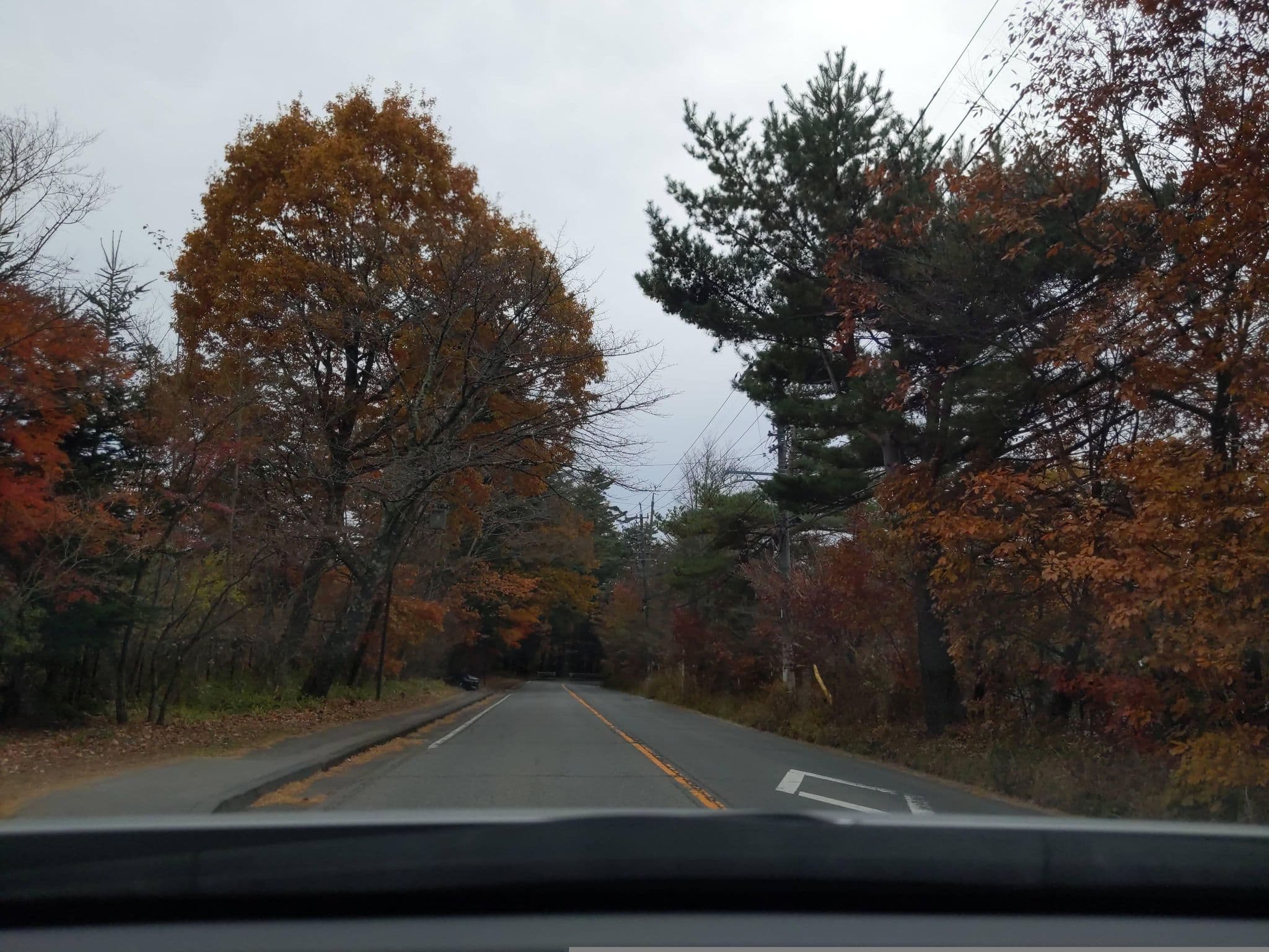 Street view near Shishi-Iwa House, Karuizawa — © komoronokaze (CC BY-SA · Mapillary)