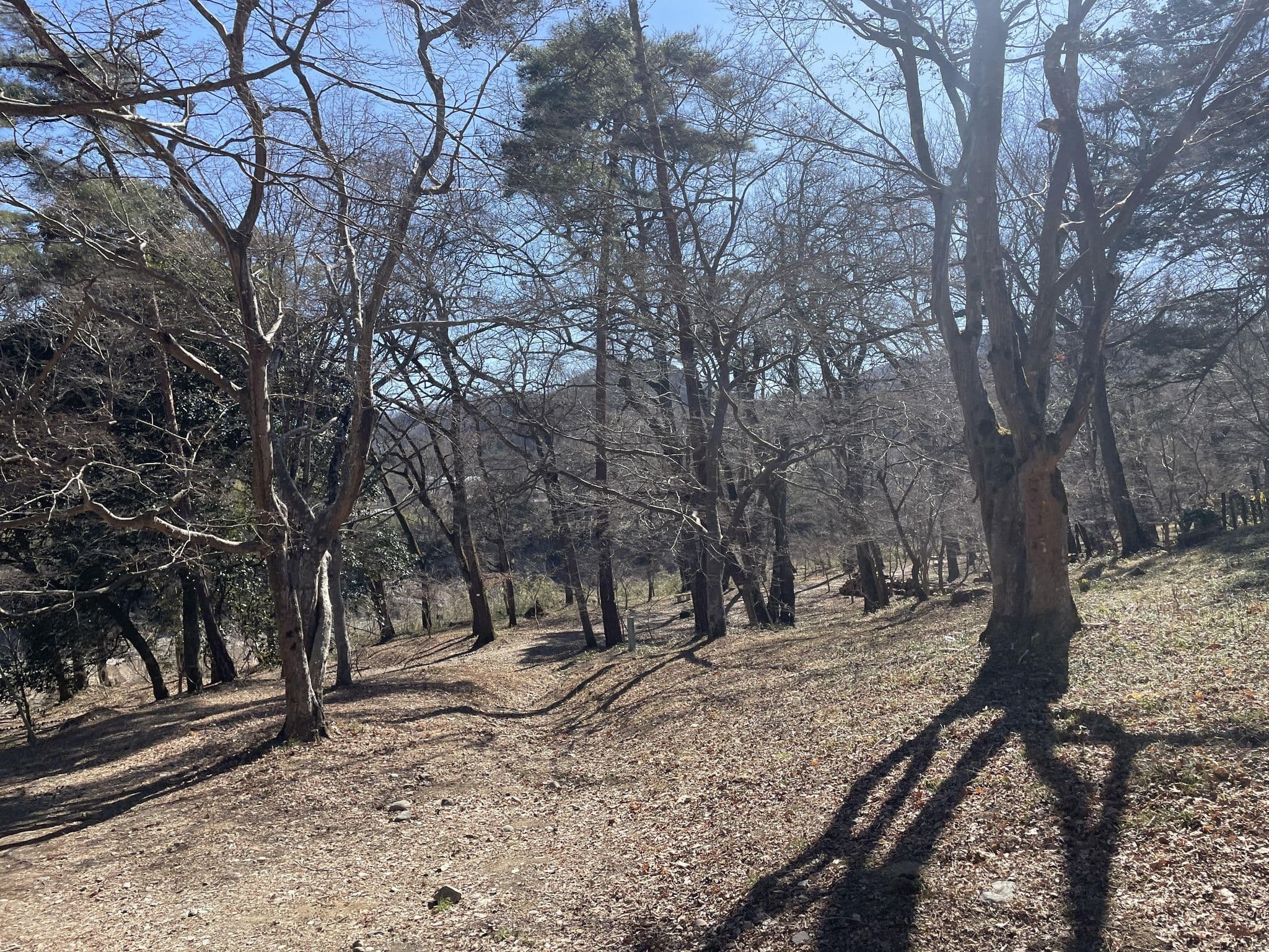 Street view near 養浩亭, Nagatoro — © musashino5 (CC BY-SA · Mapillary)