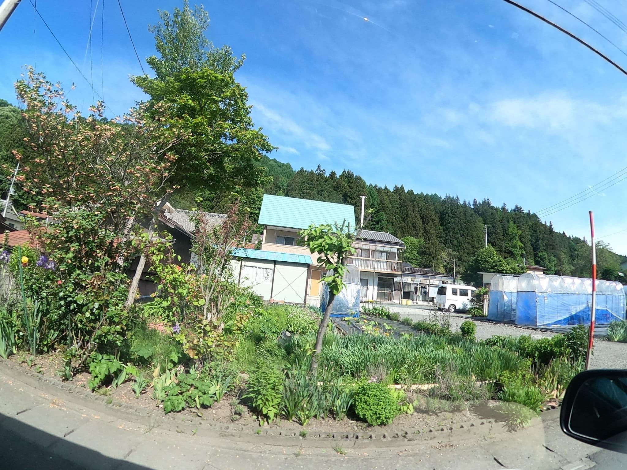 Street view near ふきのとう, Katashina — © rgtm_ryuiki (CC BY-SA · Mapillary)
