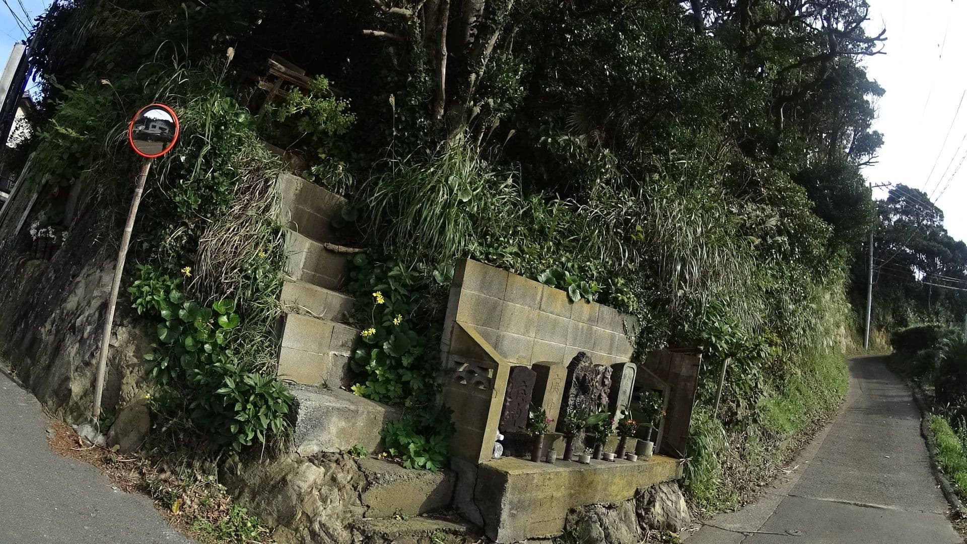 Street view near 民宿 きしろ荘, Miura — © mura (CC BY-SA · Mapillary)