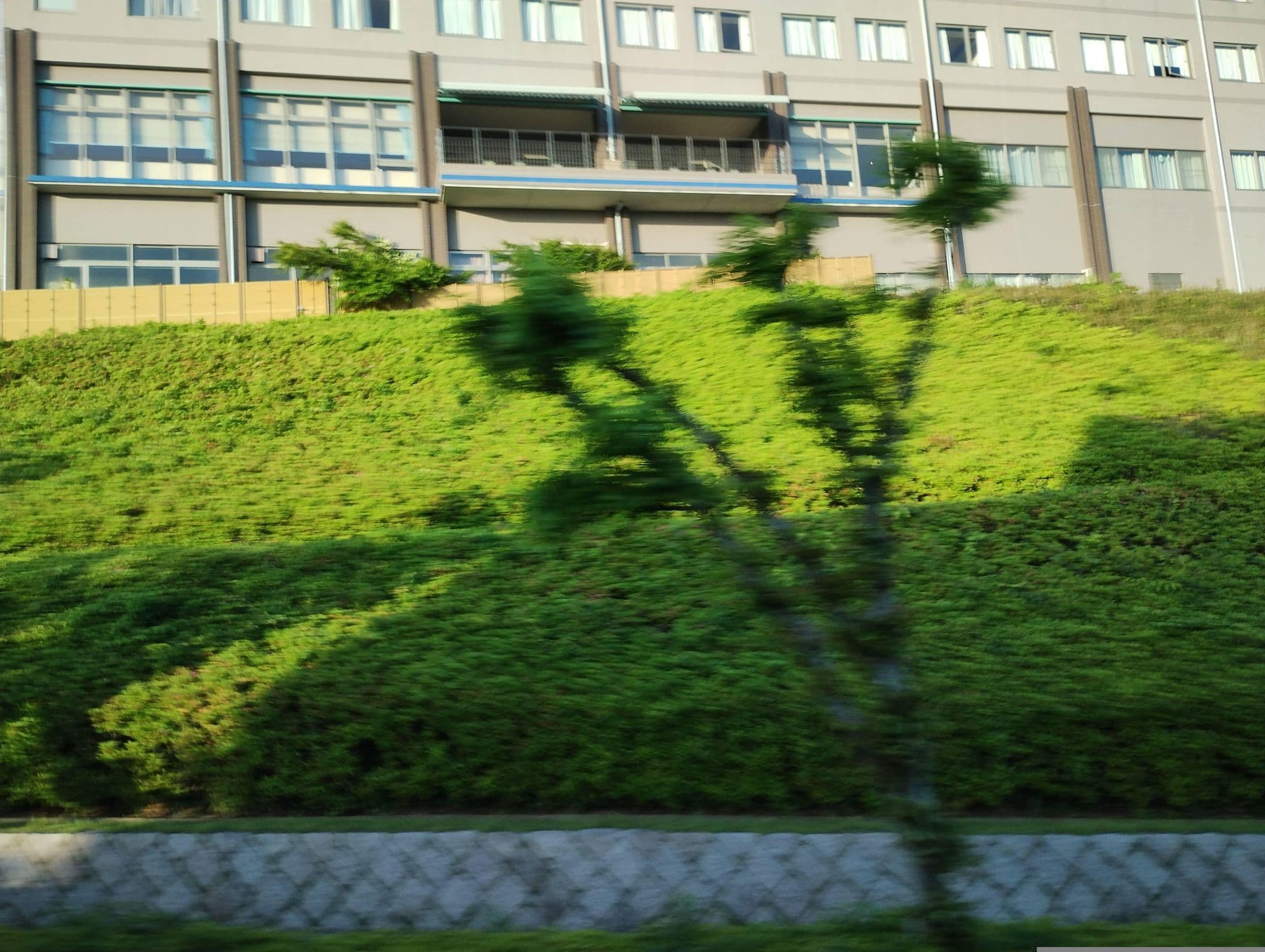 Street view near Mom Gardenマームガーデン葉山, Hayama — © mitz (CC BY-SA · Mapillary)