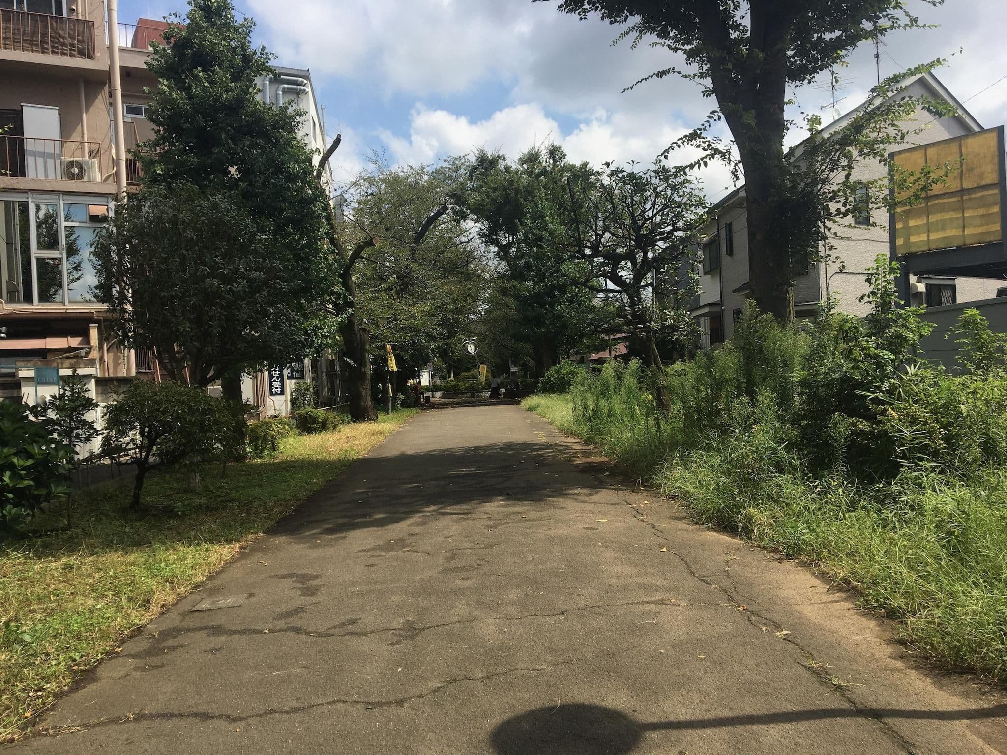 Street view near サクラホテル幡ヶ谷, Hatsudai — © musashino5 (CC BY-SA · Mapillary)