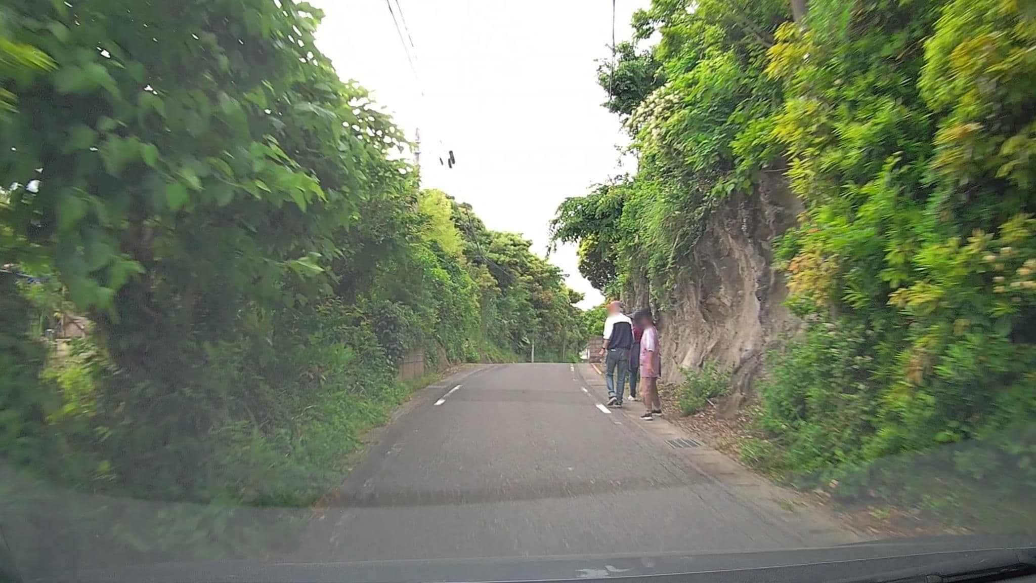 Street view near Lotus Night, Tateyama — © mzaki (CC BY-SA · Mapillary)