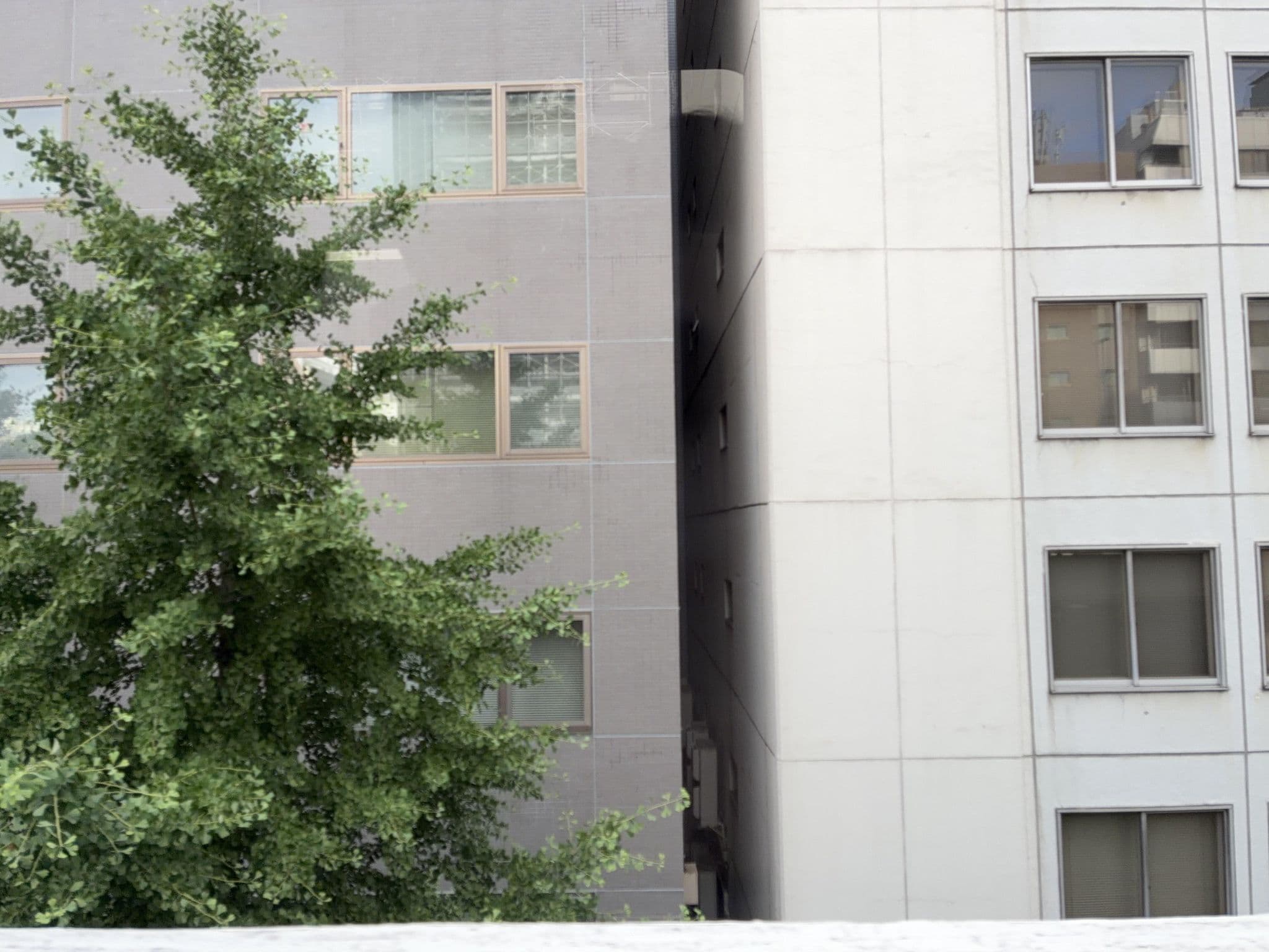 Street view near 名古屋観光ホテル東京営業所, Iwamotochō — © ChenJJ (CC BY-SA · Mapillary)