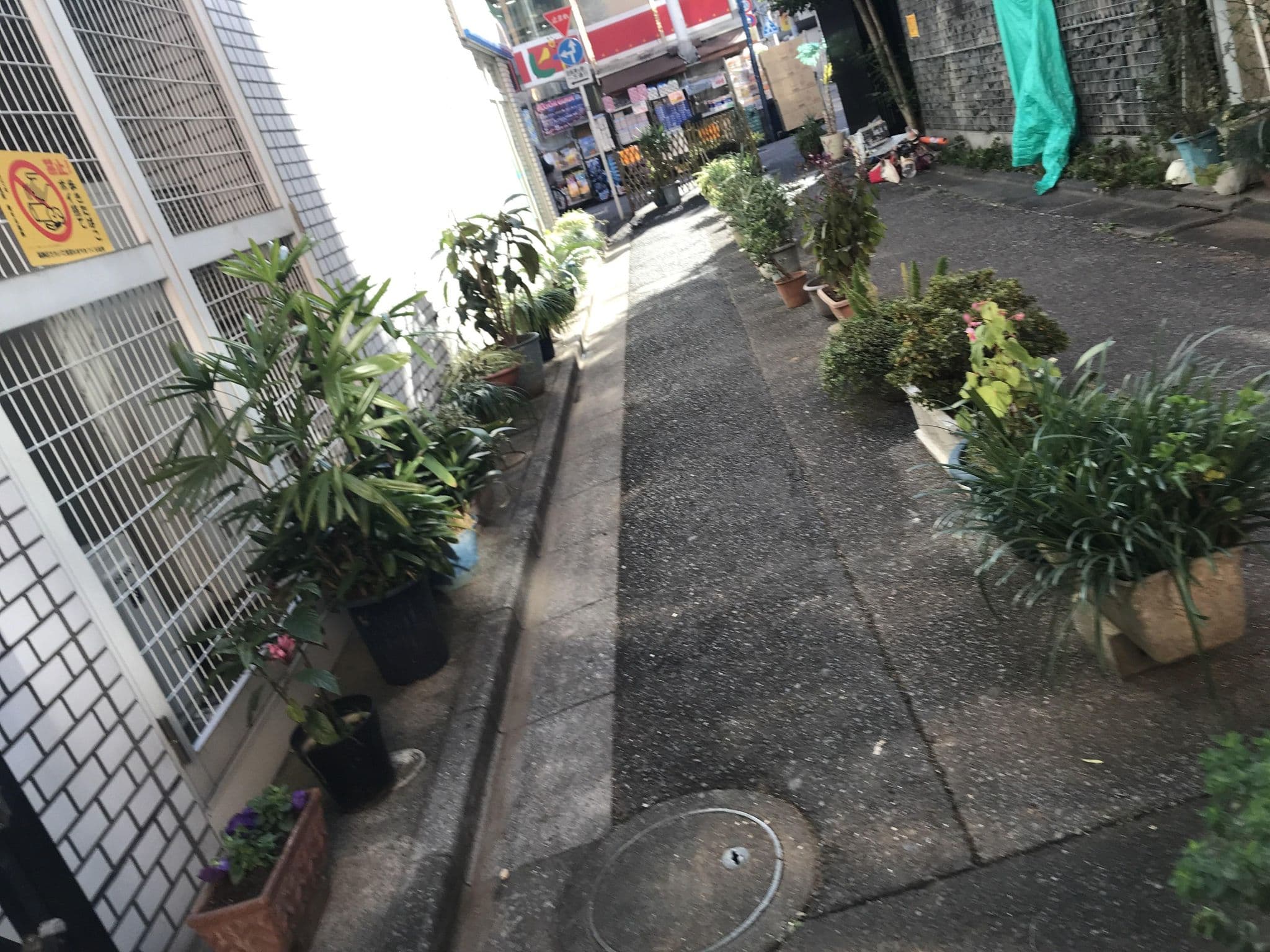 Street view near HOTEL RIN, Hirai — © musashino5 (CC BY-SA · Mapillary)