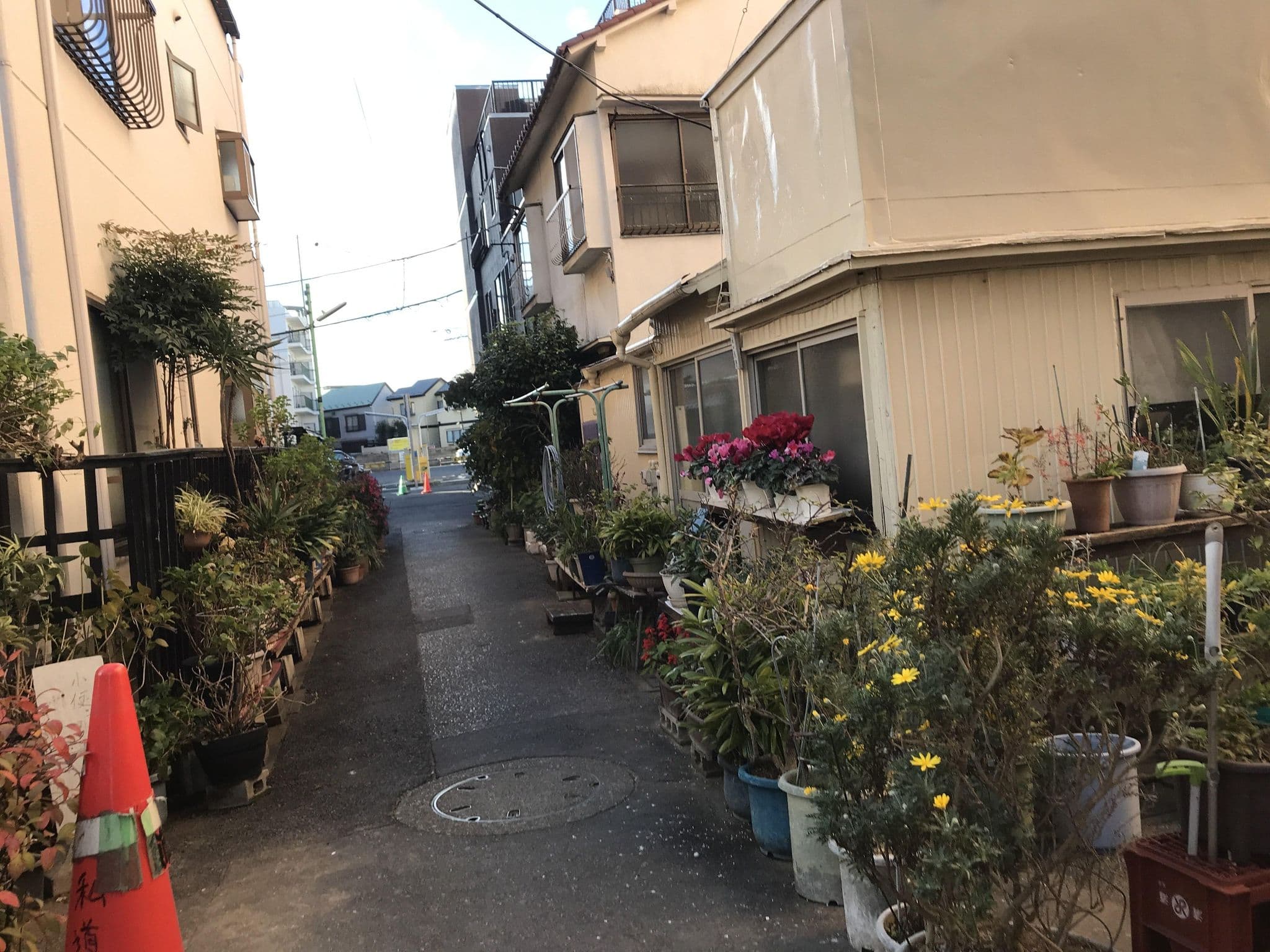 Street view near ホワイトセゾン, Hirai — © musashino5 (CC BY-SA · Mapillary)