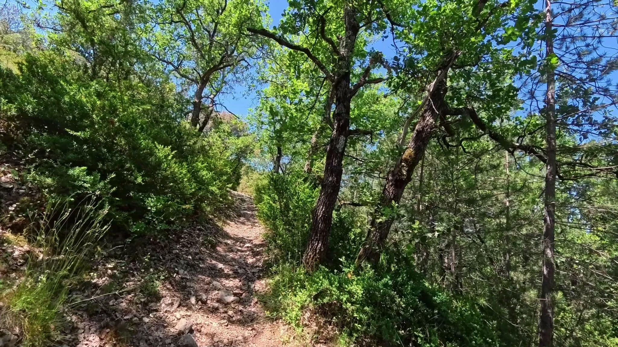 Street view near Auberge le Luberon, Apt — © voyage-hors-saison (CC BY-SA · Mapillary)