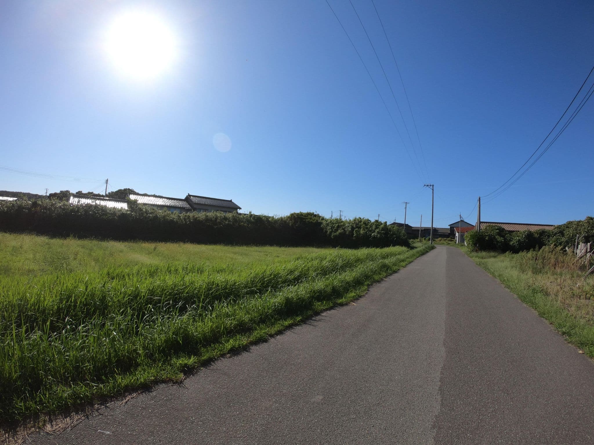 Street view near ホテルみさき, Sado — © 24dakenlo (CC BY-SA · Mapillary)